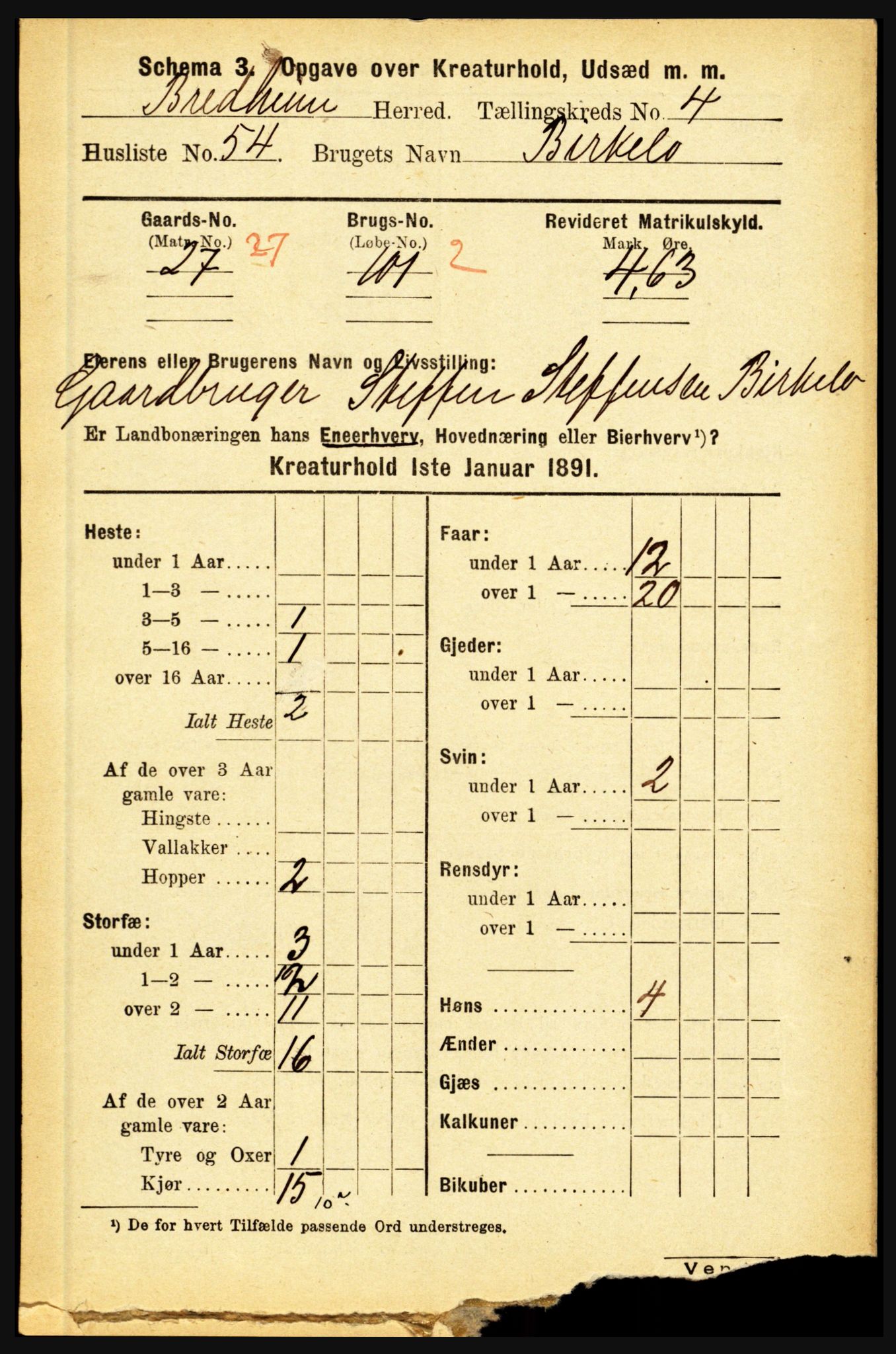 RA, 1891 census for 1446 Breim, 1891, p. 2768