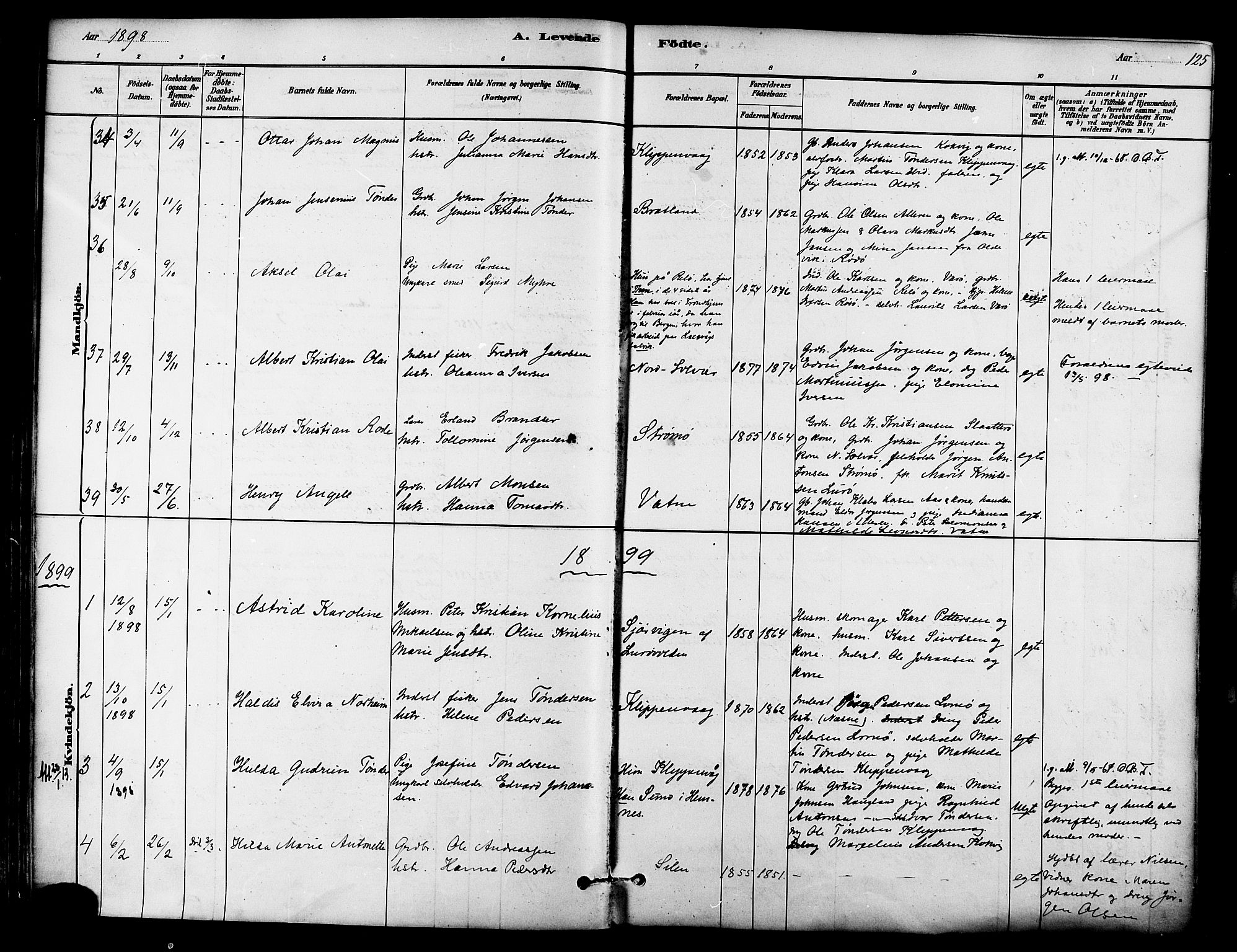 Ministerialprotokoller, klokkerbøker og fødselsregistre - Nordland, SAT/A-1459/839/L0568: Parish register (official) no. 839A05, 1880-1902, p. 125