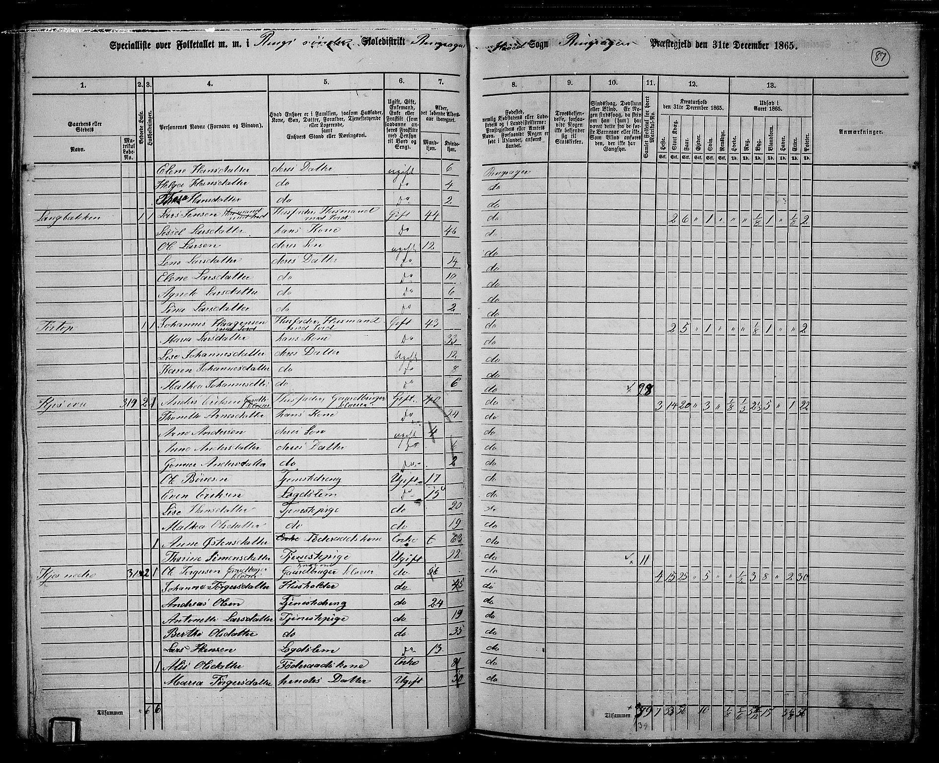 RA, 1865 census for Ringsaker, 1865, p. 336