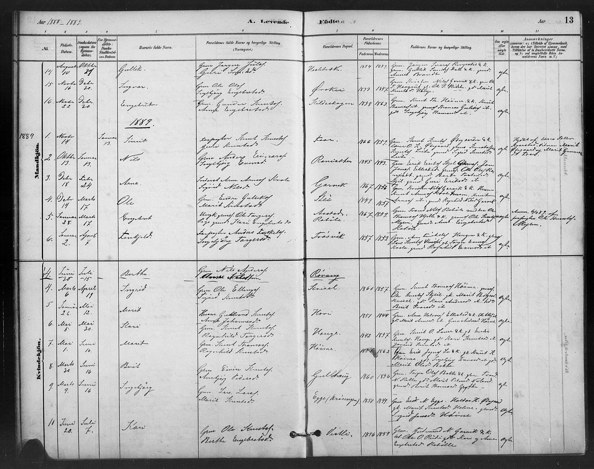 Vestre Slidre prestekontor, SAH/PREST-136/H/Ha/Hab/L0006: Parish register (copy) no. 6, 1881-1915, p. 13