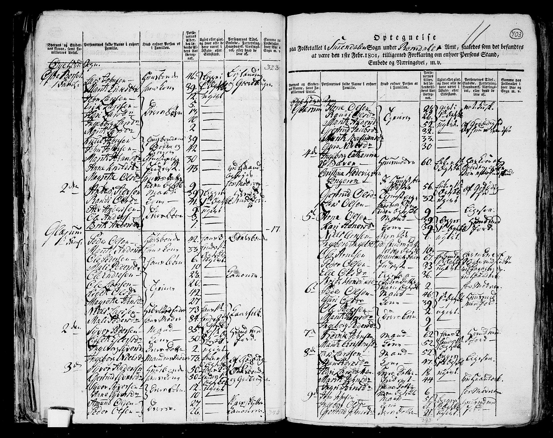 RA, 1801 census for 1566P Surnadal, 1801, p. 702b-703a