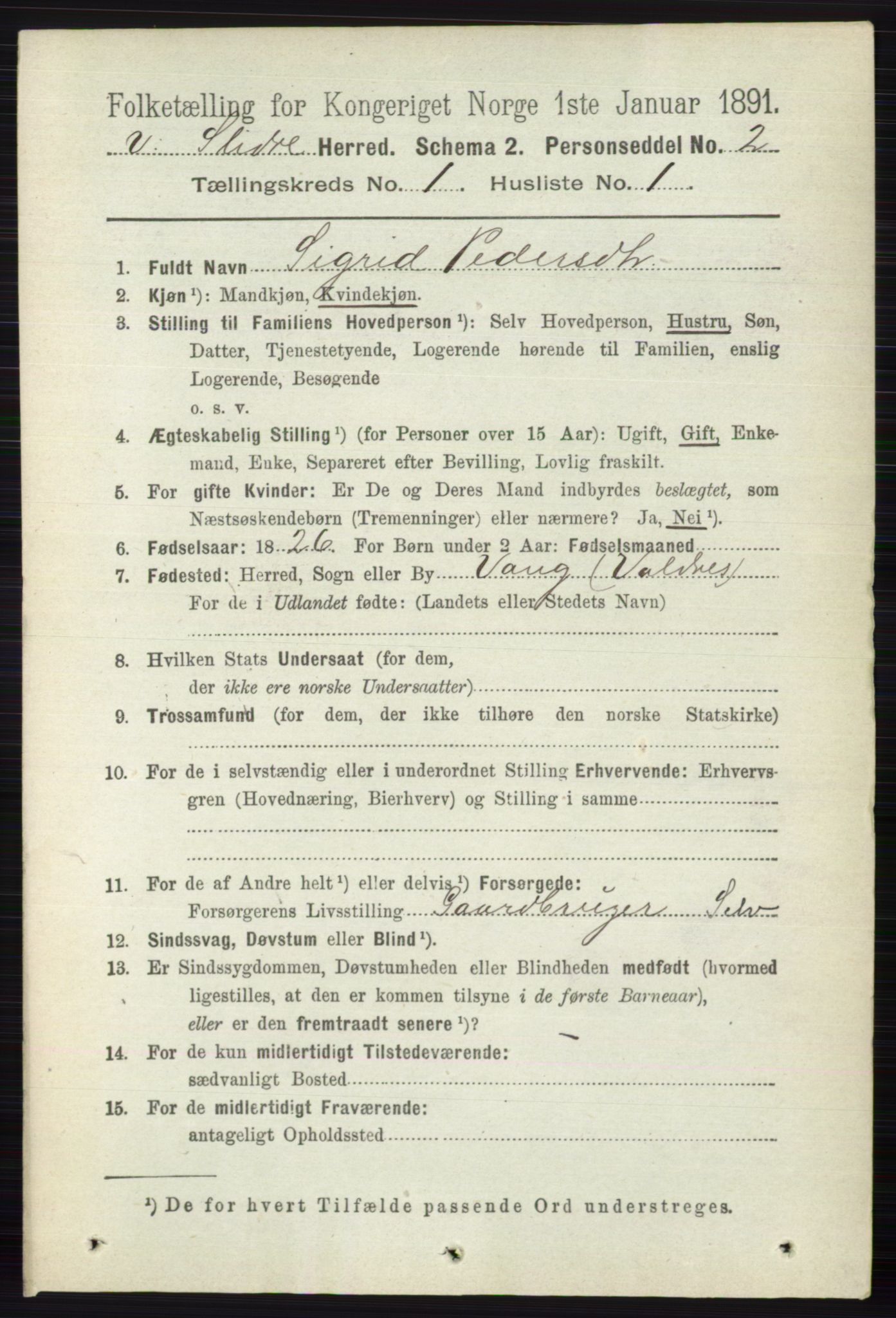 RA, 1891 census for 0543 Vestre Slidre, 1891, p. 100