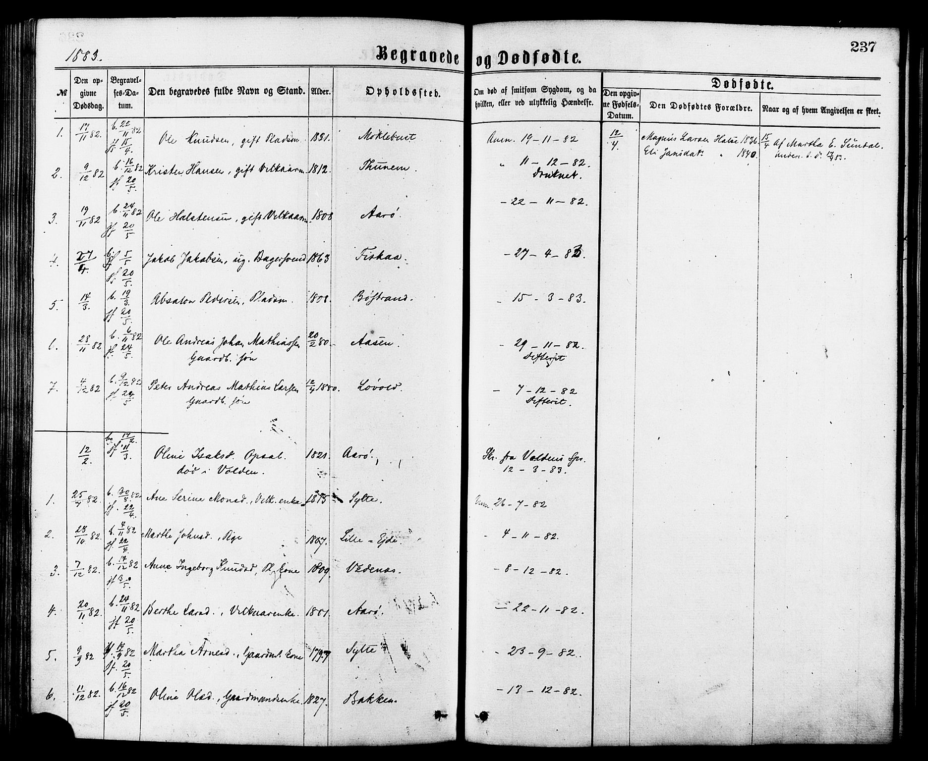 Ministerialprotokoller, klokkerbøker og fødselsregistre - Møre og Romsdal, AV/SAT-A-1454/501/L0007: Parish register (official) no. 501A07, 1868-1884, p. 237