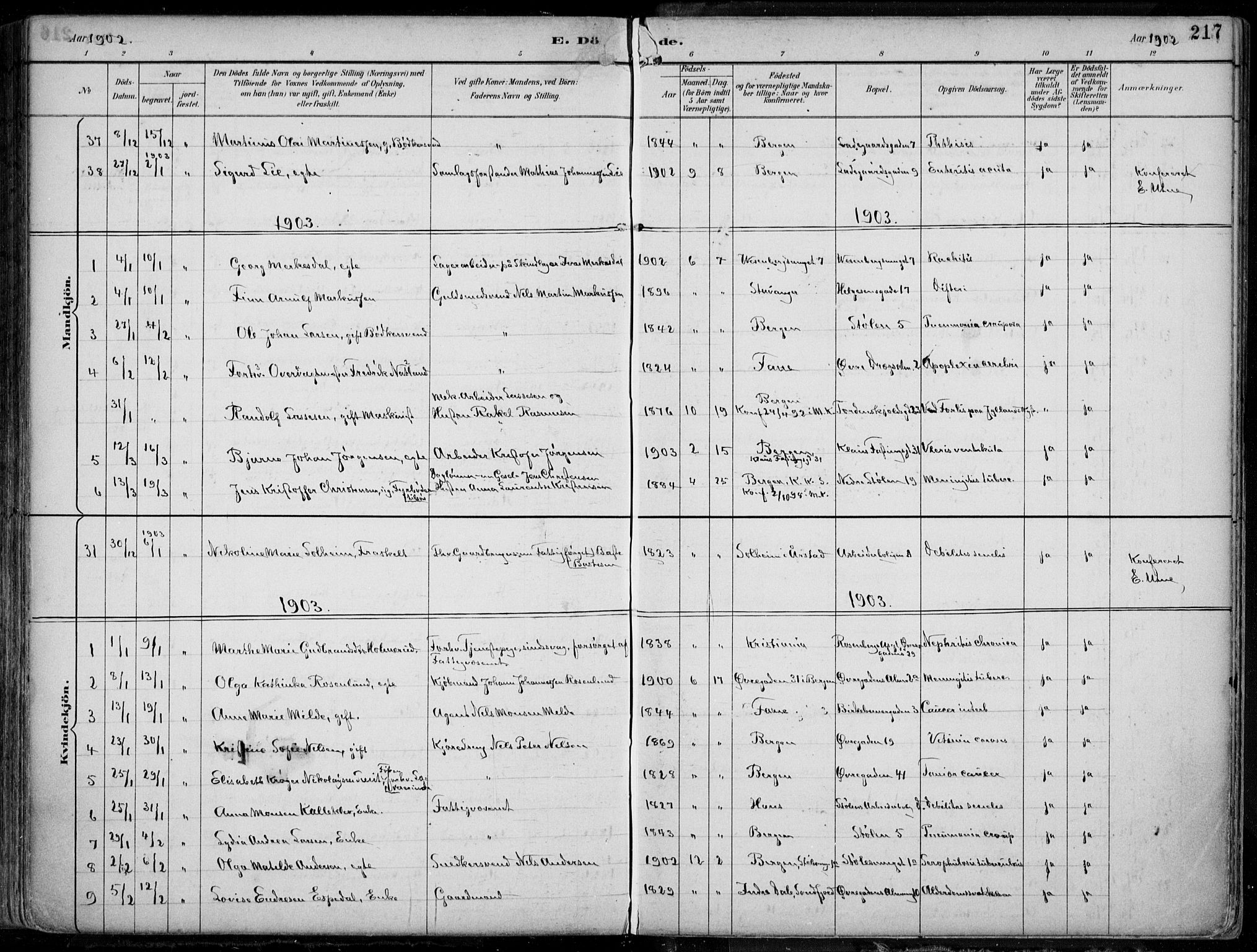 Mariakirken Sokneprestembete, SAB/A-76901/H/Hab/L0005: Parish register (copy) no. A 5, 1893-1913, p. 217
