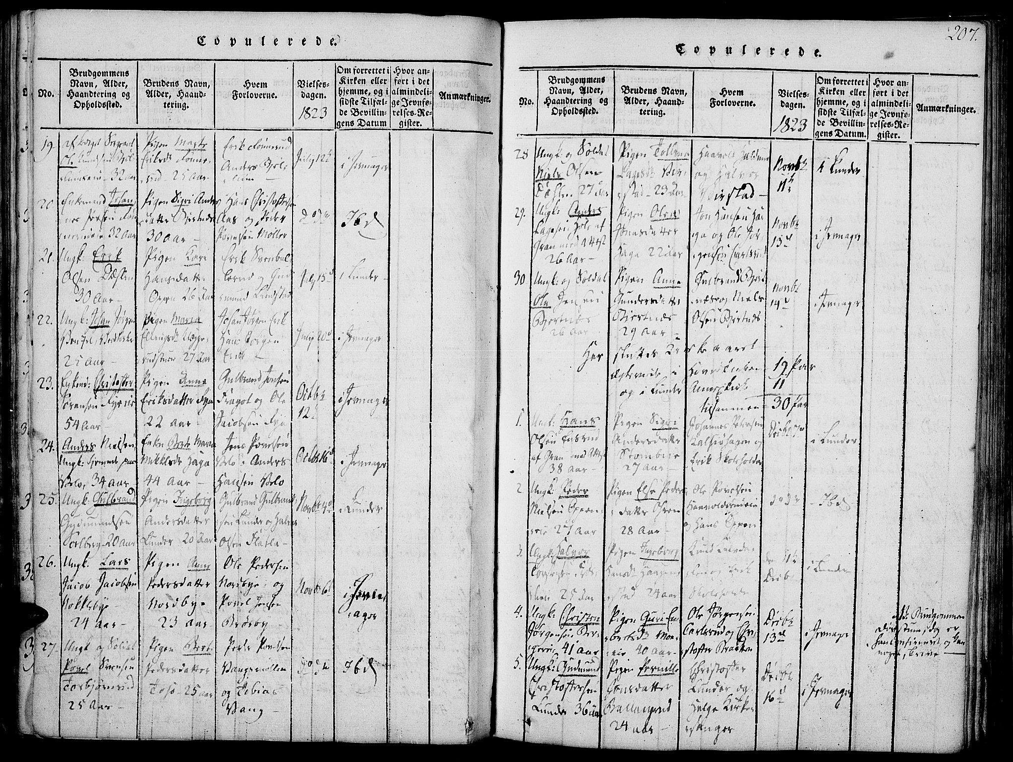 Jevnaker prestekontor, SAH/PREST-116/H/Ha/Haa/L0005: Parish register (official) no. 5, 1815-1837, p. 207