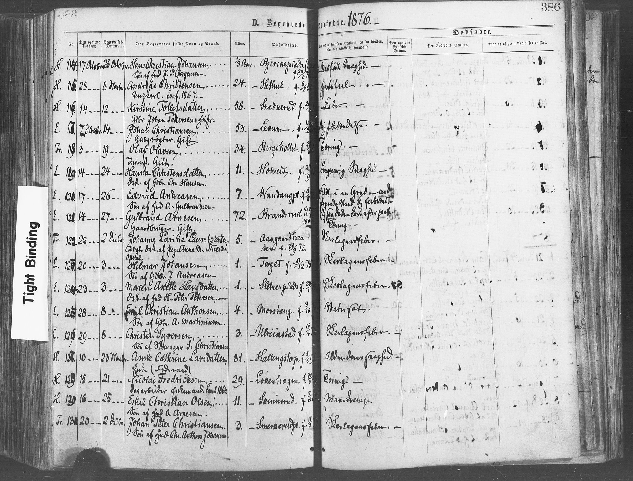 Eidsberg prestekontor Kirkebøker, AV/SAO-A-10905/F/Fa/L0011: Parish register (official) no. I 11, 1867-1878, p. 386
