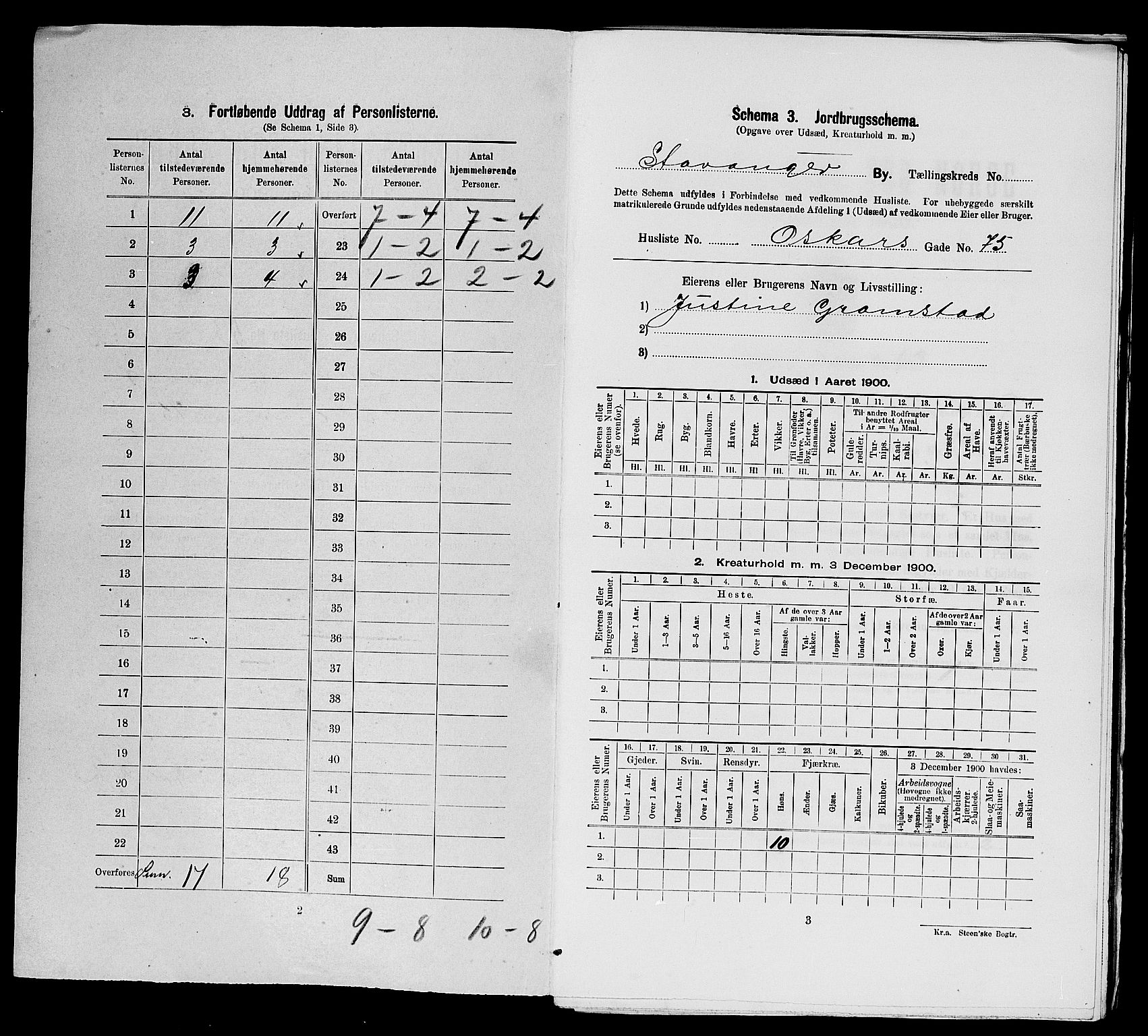 SAST, 1900 census for Stavanger, 1900, p. 18461