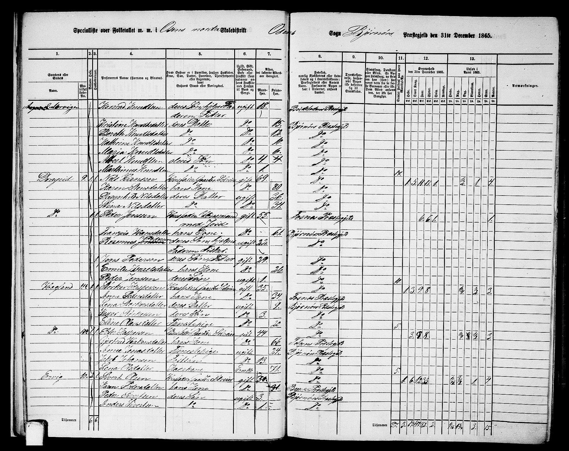 RA, 1865 census for Bjørnør, 1865, p. 15