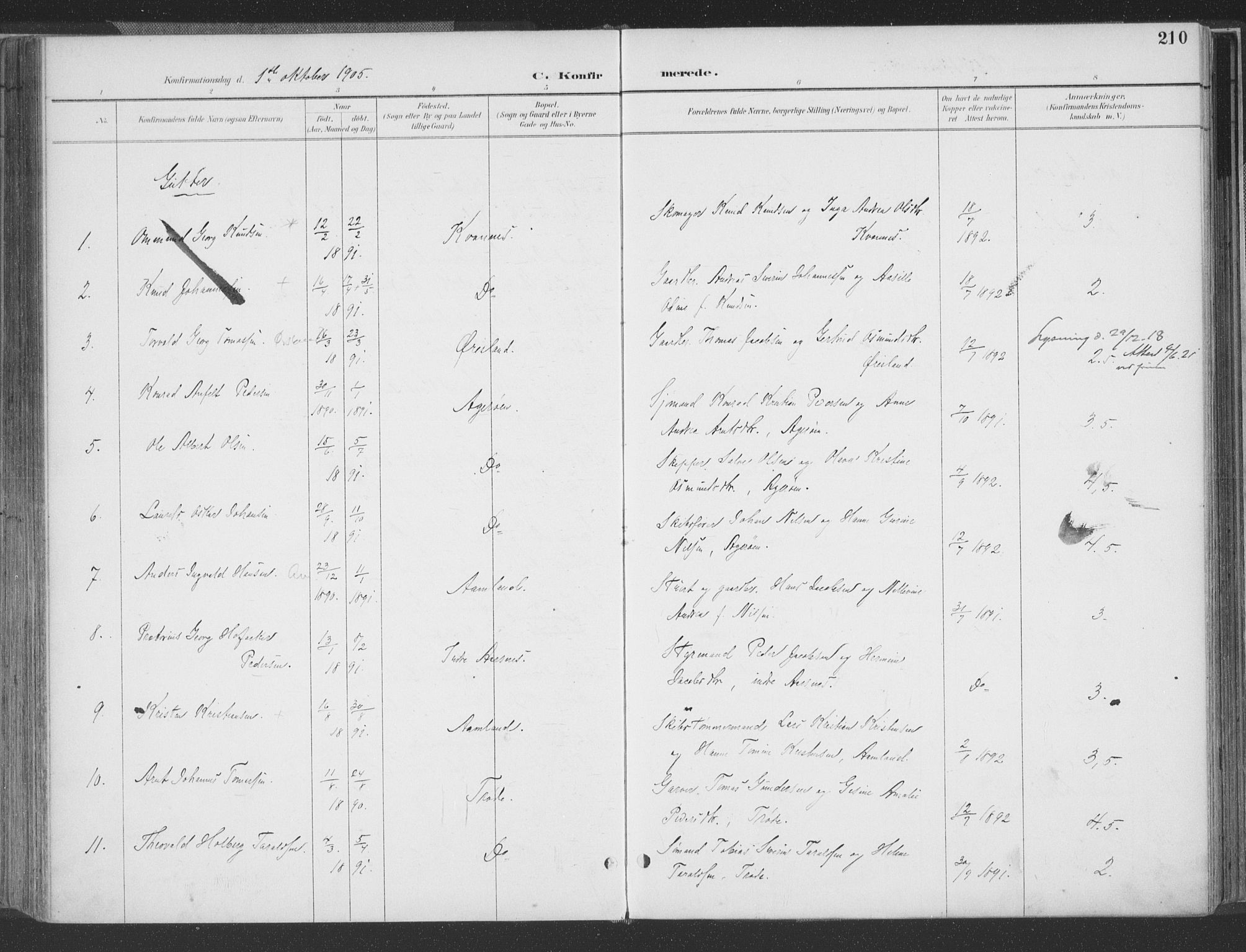 Høvåg sokneprestkontor, AV/SAK-1111-0025/F/Fa/L0006: Parish register (official) no. A 6, 1894-1923, p. 210