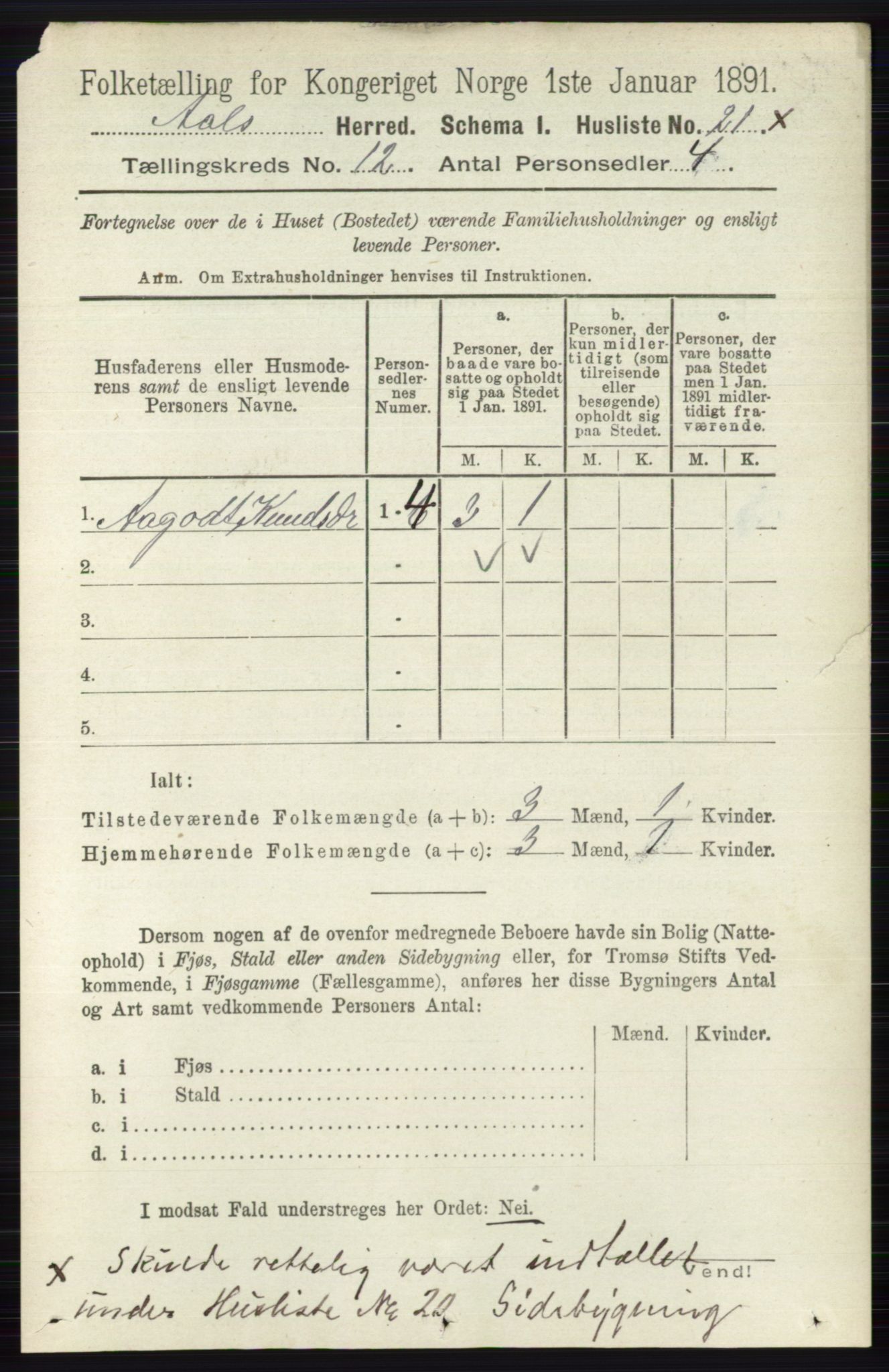 RA, 1891 census for 0619 Ål, 1891, p. 2990