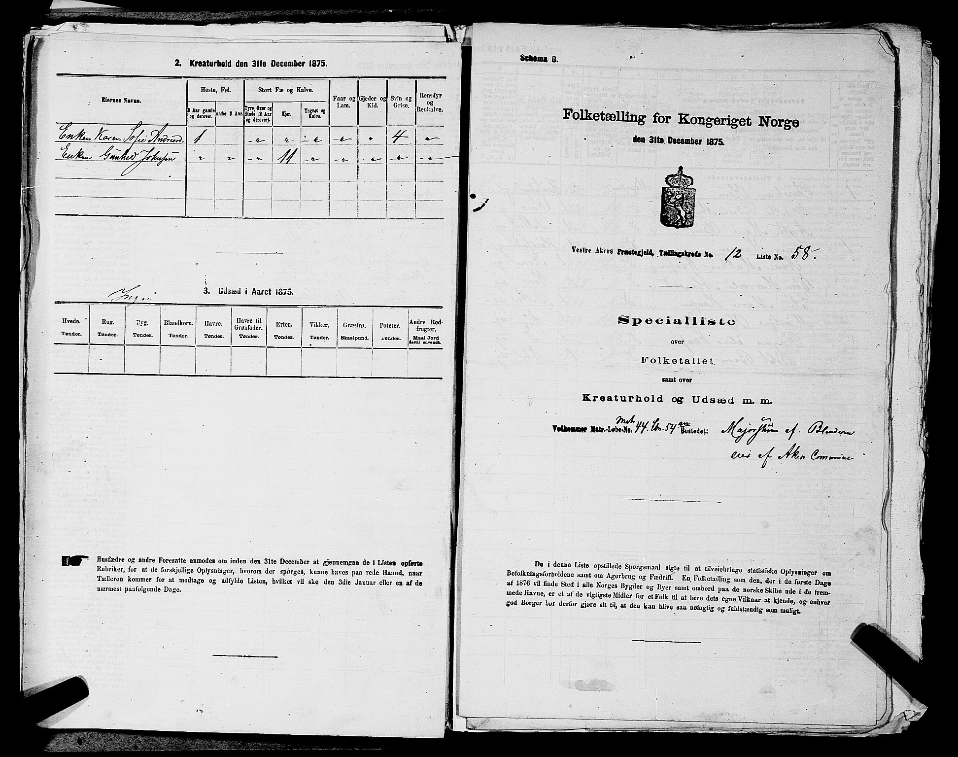 RA, 1875 census for 0218aP Vestre Aker, 1875, p. 2049