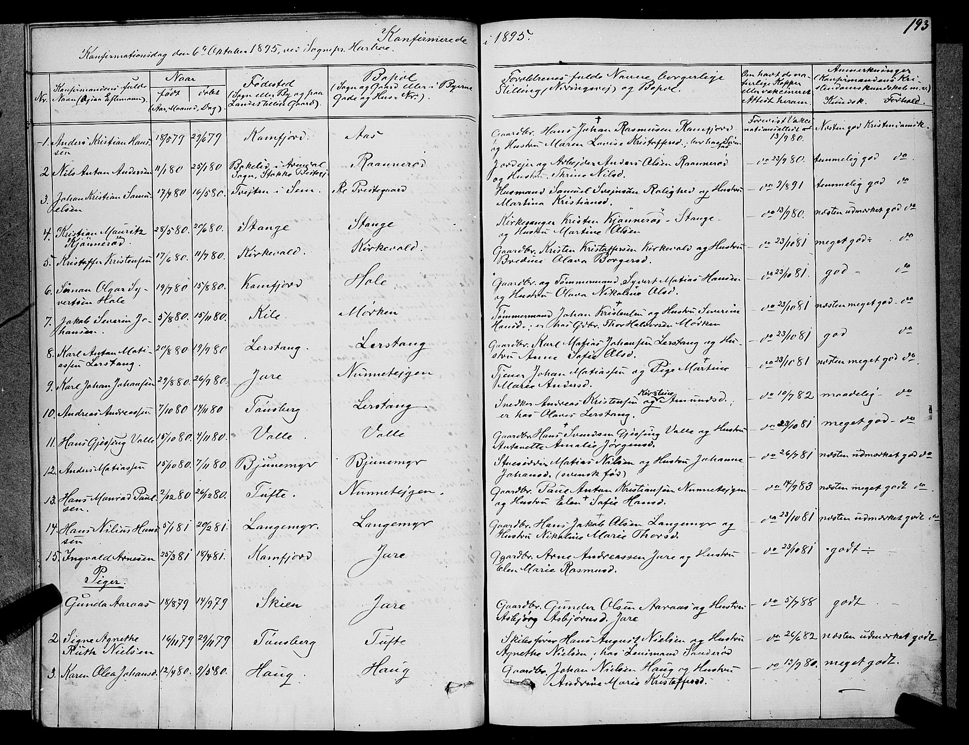 Ramnes kirkebøker, AV/SAKO-A-314/G/Ga/L0003: Parish register (copy) no. I 3, 1870-1896, p. 193