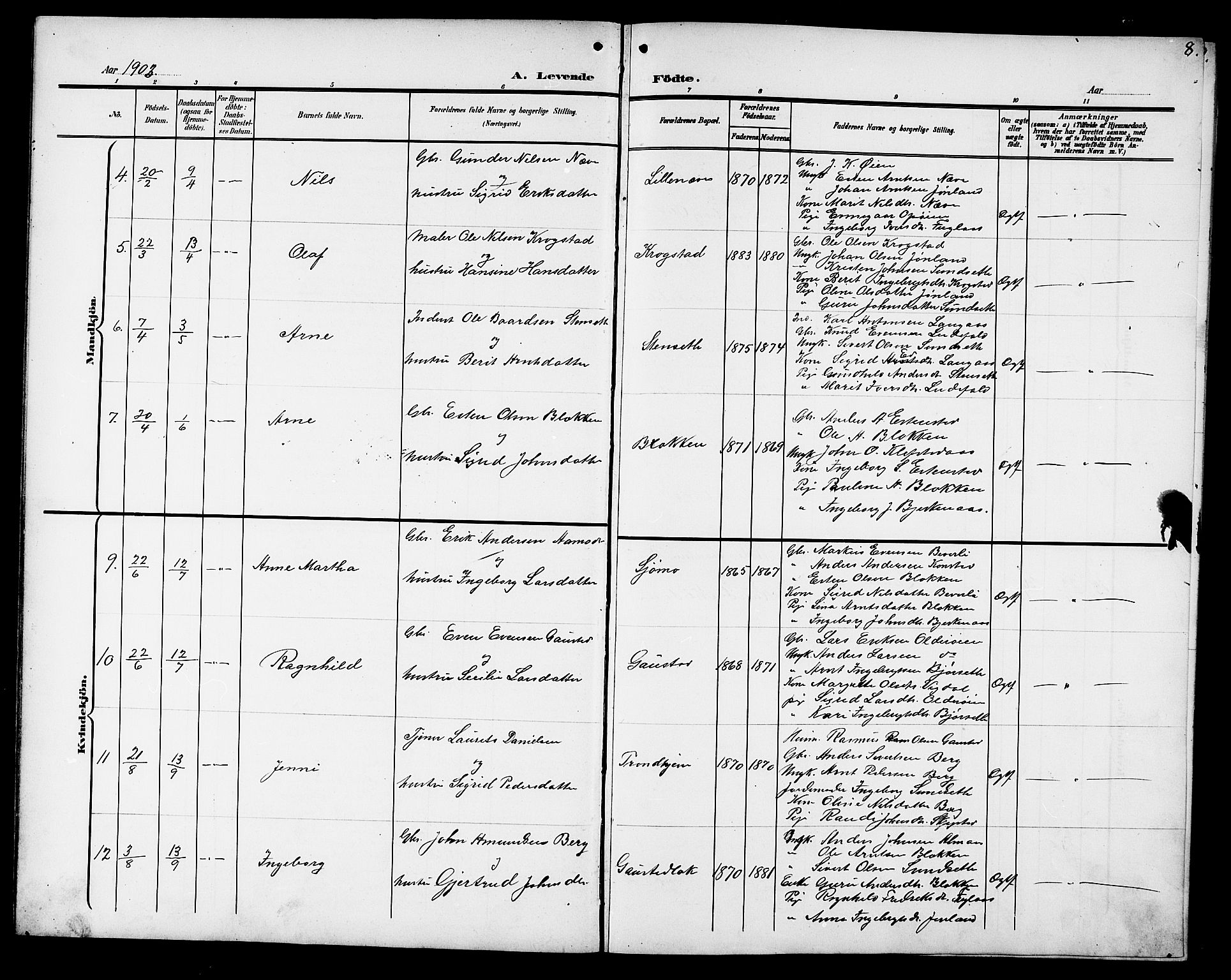 Ministerialprotokoller, klokkerbøker og fødselsregistre - Sør-Trøndelag, AV/SAT-A-1456/694/L1133: Parish register (copy) no. 694C05, 1901-1914, p. 8