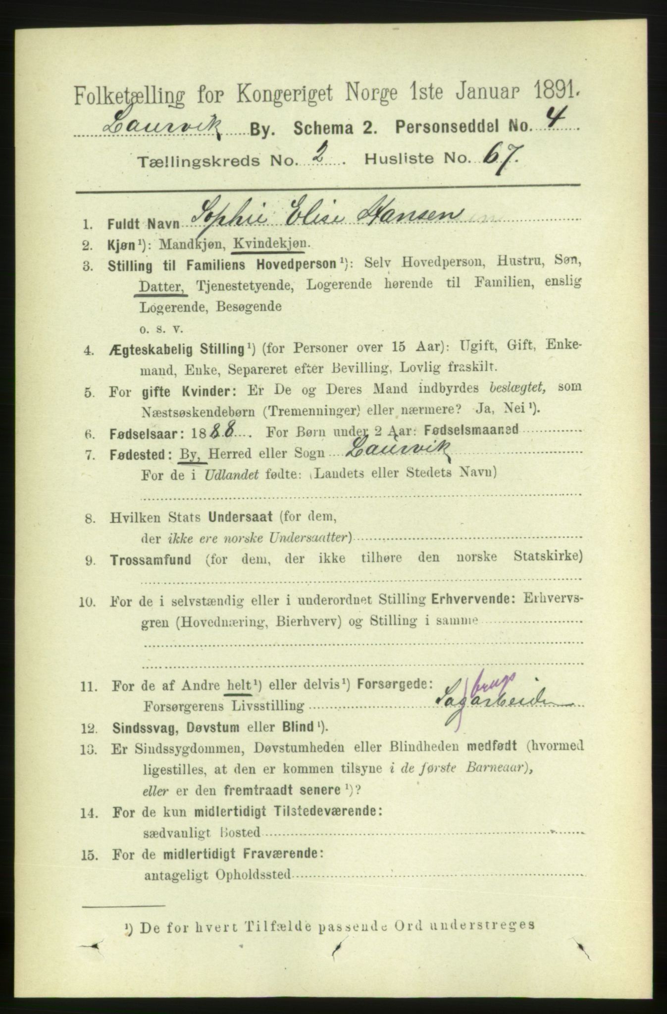 RA, 1891 census for 0707 Larvik, 1891, p. 4061