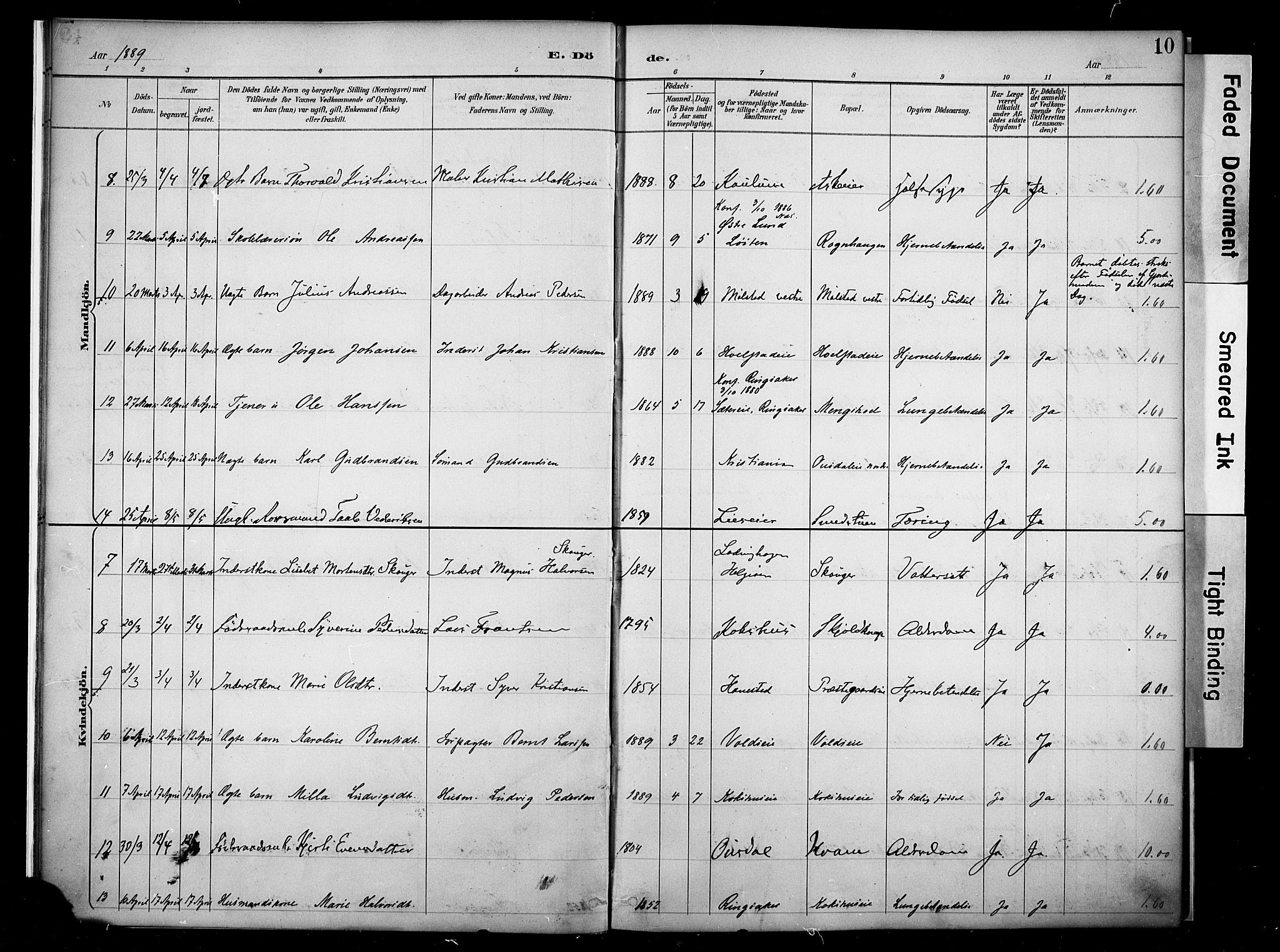 Nes prestekontor, Hedmark, AV/SAH-PREST-020/K/Ka/L0011: Parish register (official) no. 11, 1887-1905, p. 10