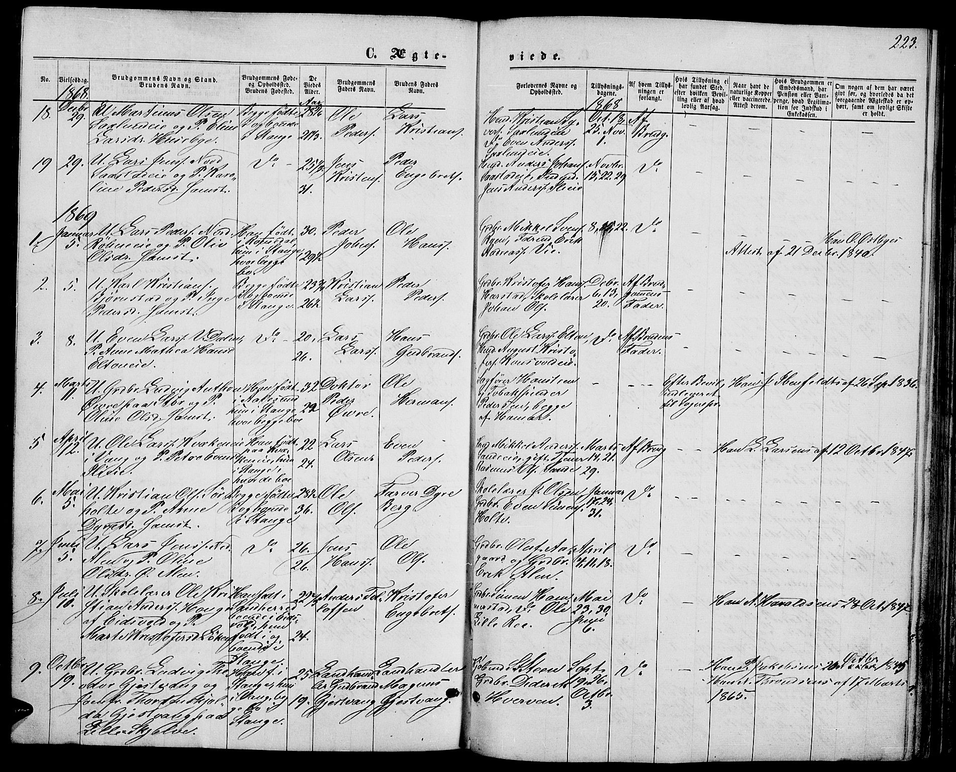 Stange prestekontor, AV/SAH-PREST-002/L/L0006: Parish register (copy) no. 6, 1864-1882, p. 223