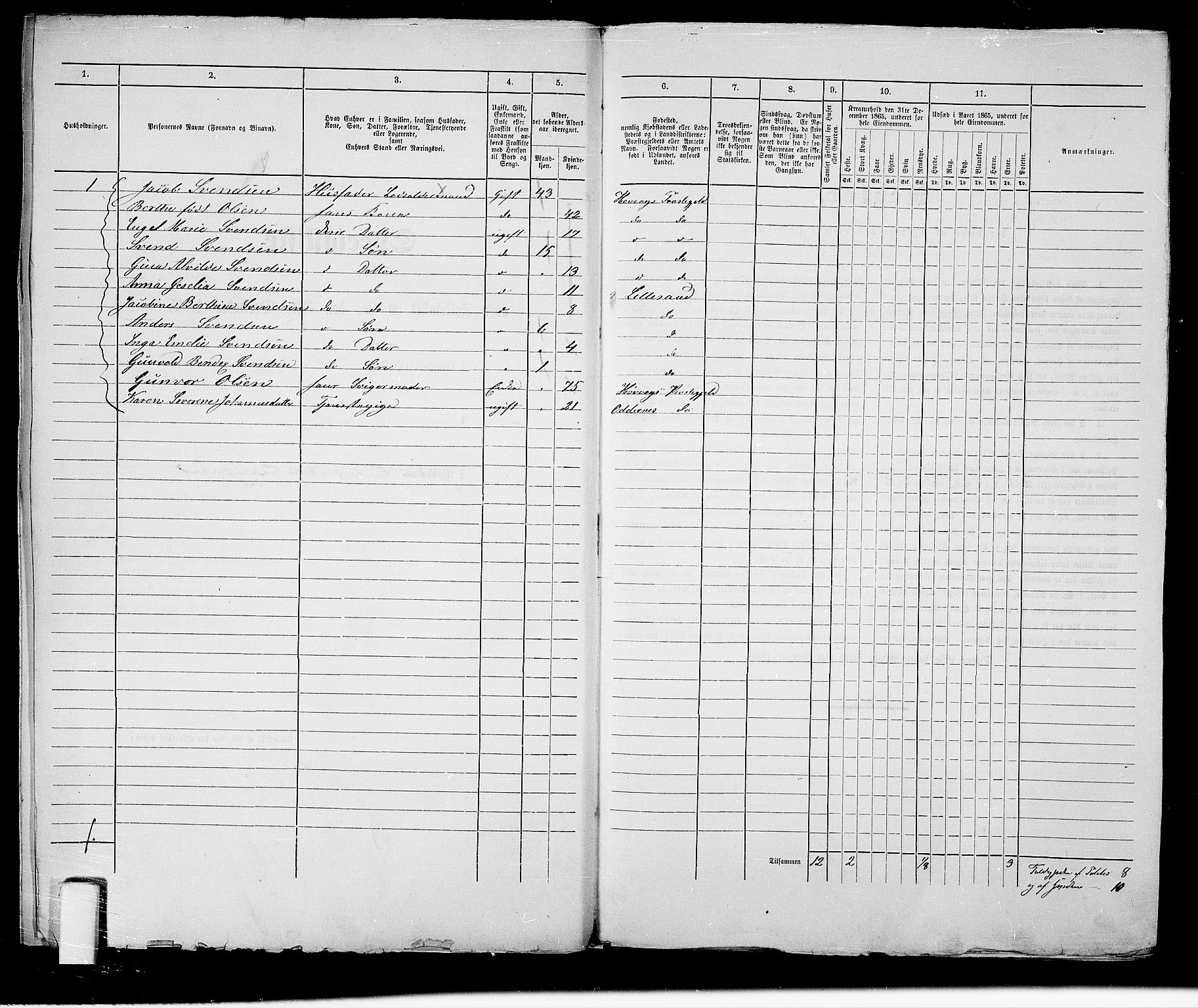 RA, 1865 census for Vestre Moland/Lillesand, 1865, p. 11