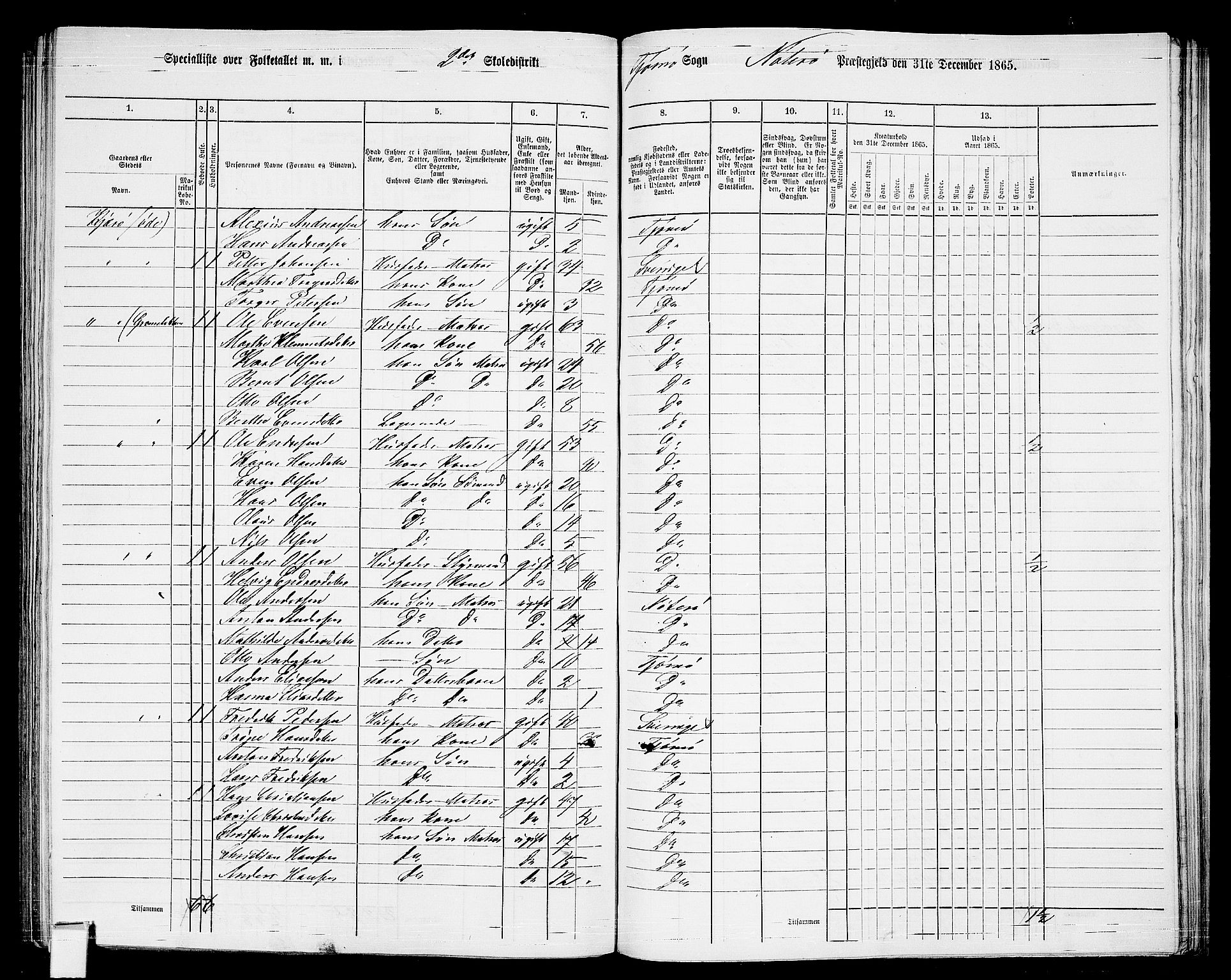 RA, 1865 census for Nøtterøy, 1865, p. 257