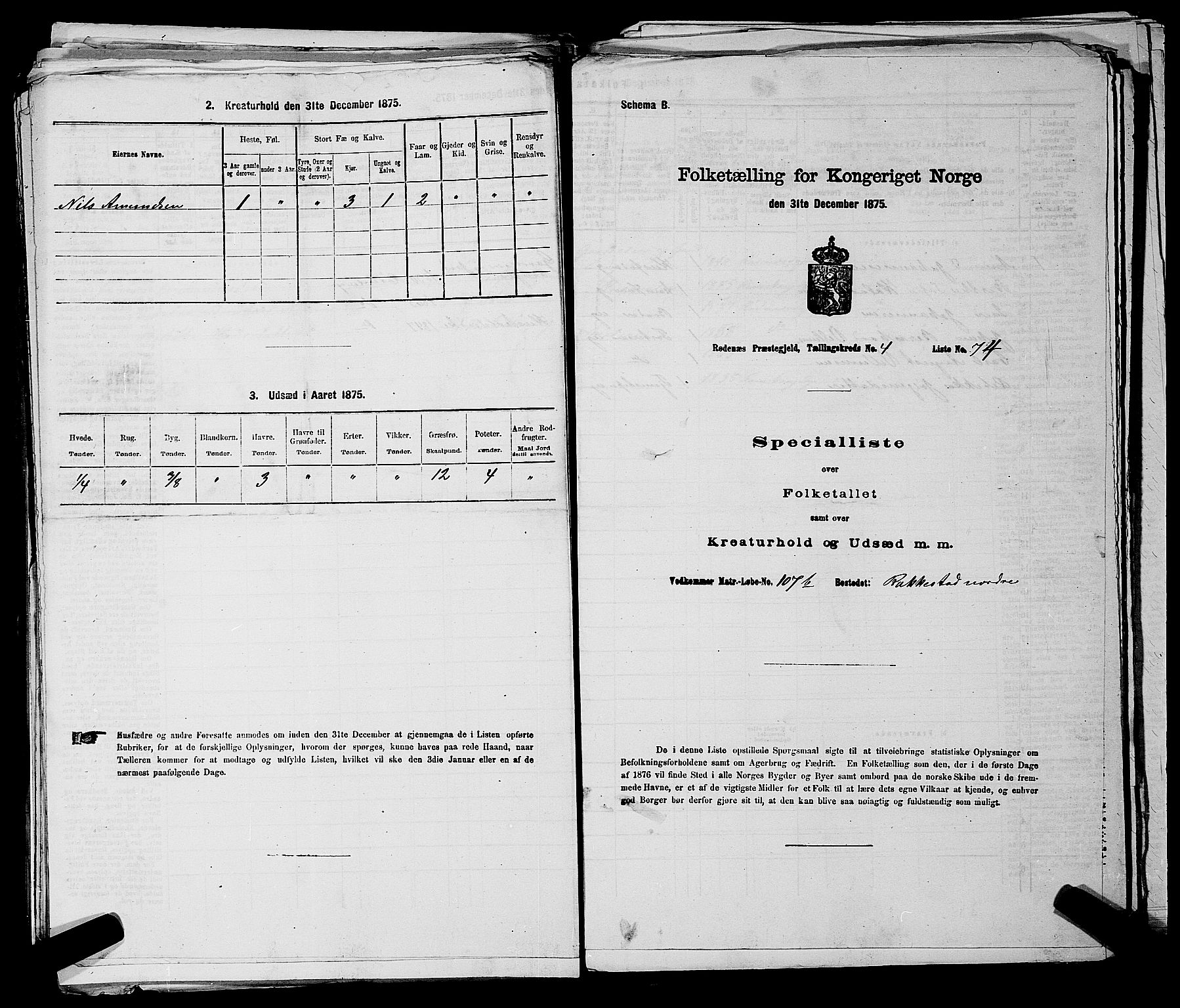 RA, 1875 census for 0120P Rødenes, 1875, p. 655