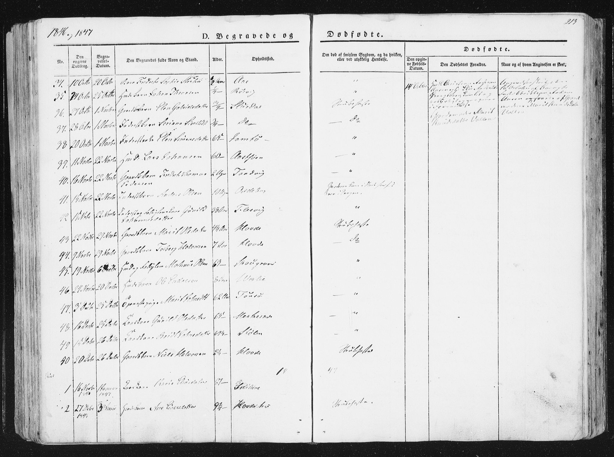 Ministerialprotokoller, klokkerbøker og fødselsregistre - Sør-Trøndelag, SAT/A-1456/630/L0493: Parish register (official) no. 630A06, 1841-1851, p. 213