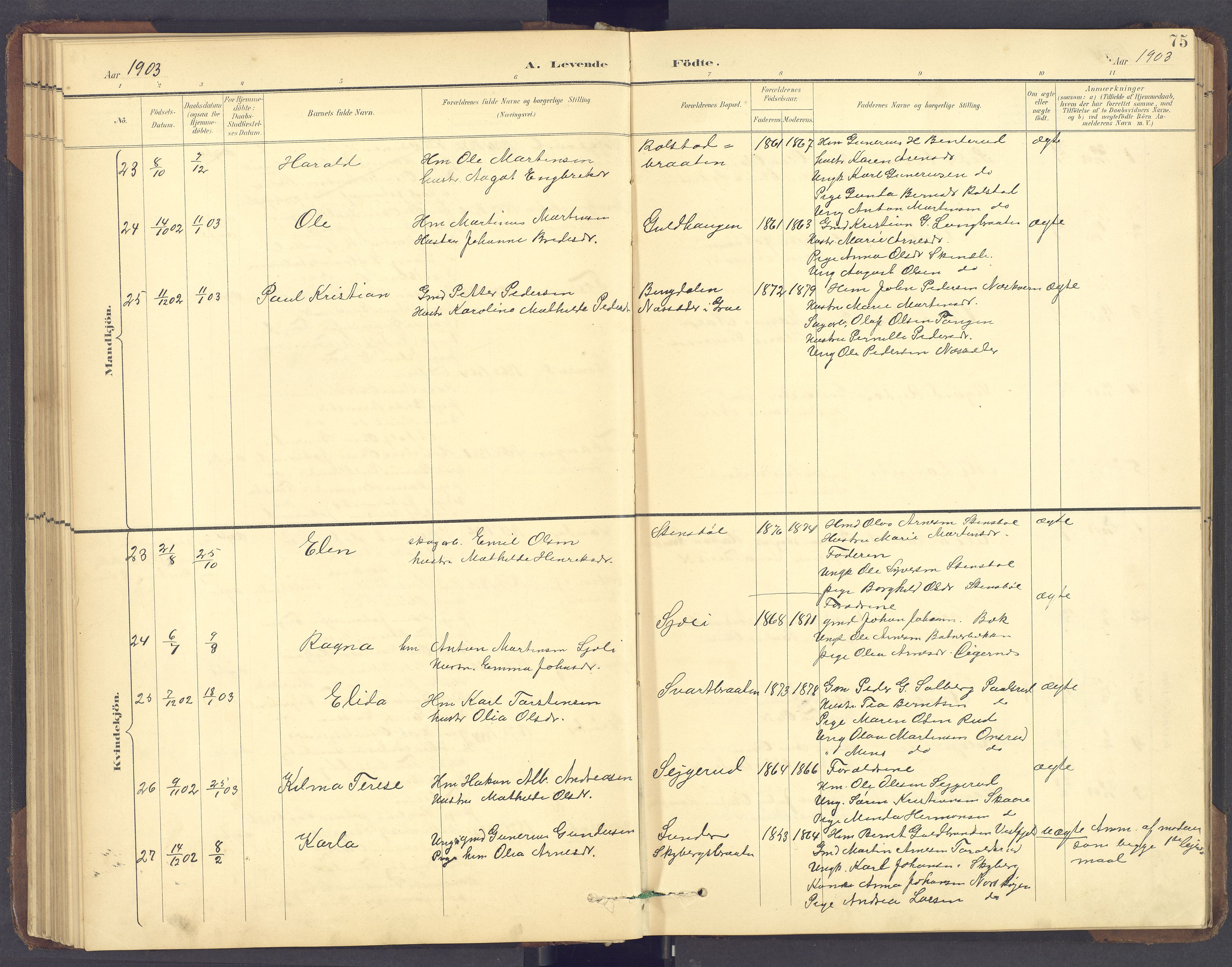 Brandval prestekontor, SAH/PREST-034/H/Ha/Hab/L0002: Parish register (copy) no. 2, 1895-1904, p. 75