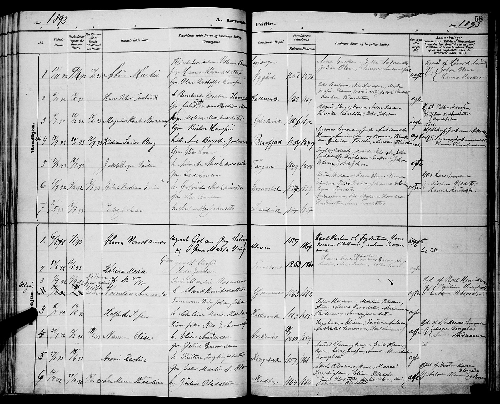 Ministerialprotokoller, klokkerbøker og fødselsregistre - Nordland, AV/SAT-A-1459/866/L0952: Parish register (copy) no. 866C01, 1886-1899, p. 58