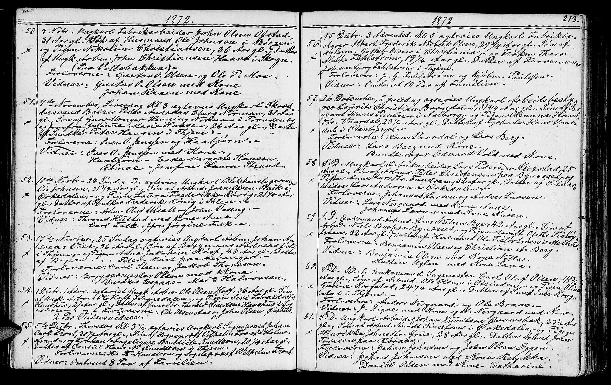 Ministerialprotokoller, klokkerbøker og fødselsregistre - Sør-Trøndelag, SAT/A-1456/602/L0142: Parish register (copy) no. 602C10, 1872-1894, p. 213