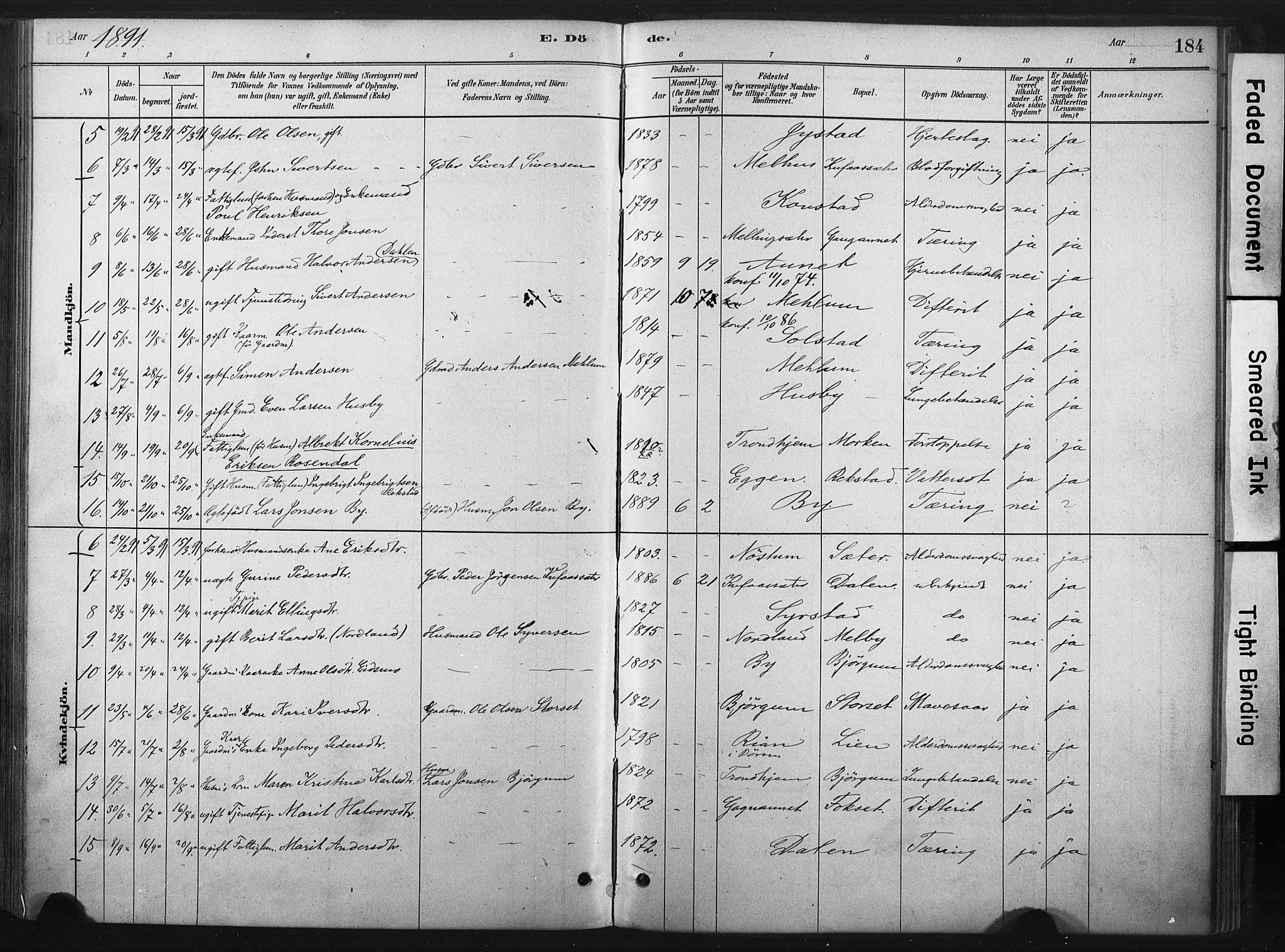 Ministerialprotokoller, klokkerbøker og fødselsregistre - Sør-Trøndelag, AV/SAT-A-1456/667/L0795: Parish register (official) no. 667A03, 1879-1907, p. 184