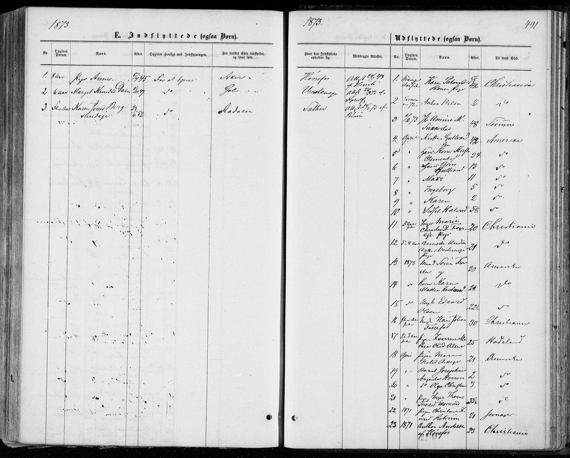 Norderhov kirkebøker, SAKO/A-237/F/Fa/L0013: Parish register (official) no. 13, 1866-1874, p. 491