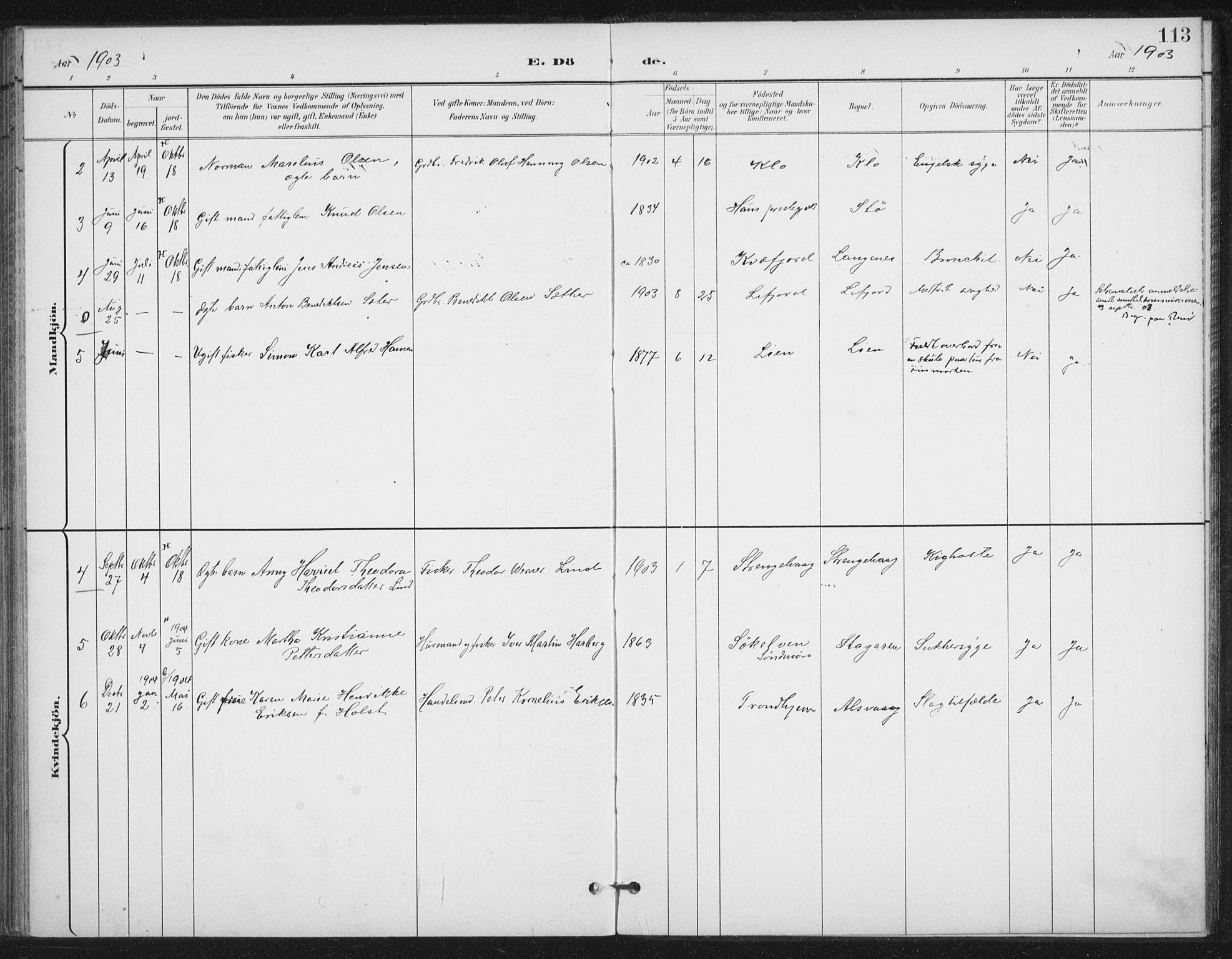 Ministerialprotokoller, klokkerbøker og fødselsregistre - Nordland, AV/SAT-A-1459/894/L1356: Parish register (official) no. 894A02, 1897-1914, p. 113