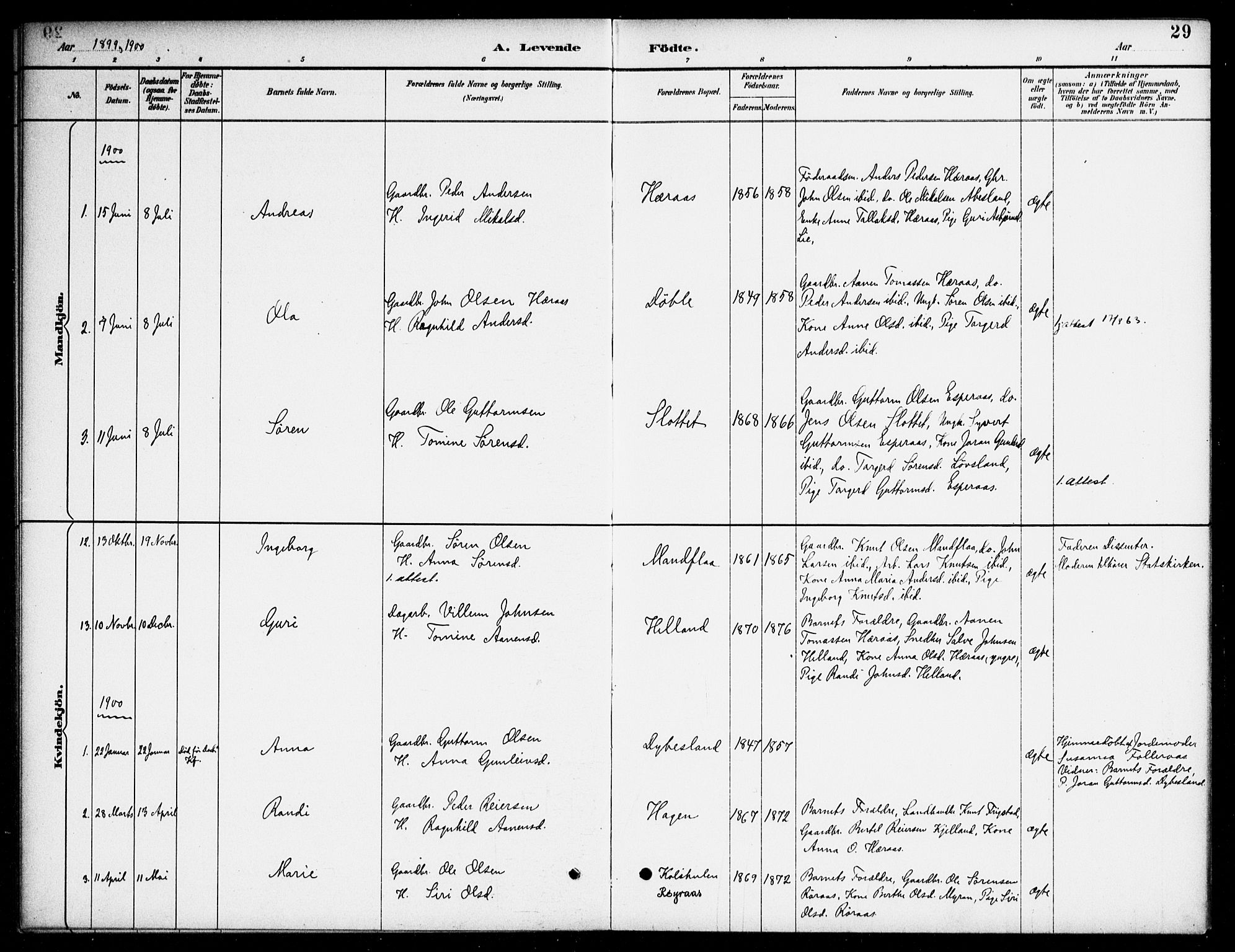 Bjelland sokneprestkontor, SAK/1111-0005/F/Fa/Fab/L0004: Parish register (official) no. A 4, 1887-1920, p. 29