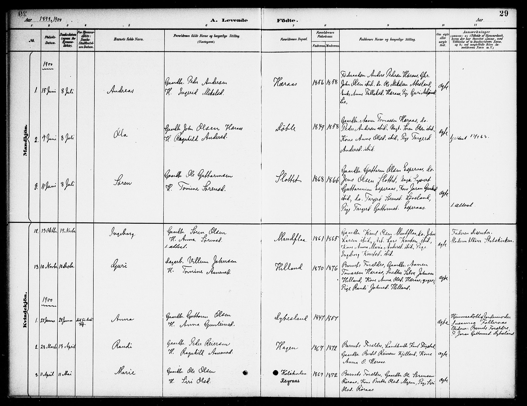 Bjelland sokneprestkontor, AV/SAK-1111-0005/F/Fa/Fab/L0004: Parish register (official) no. A 4, 1887-1920, p. 29