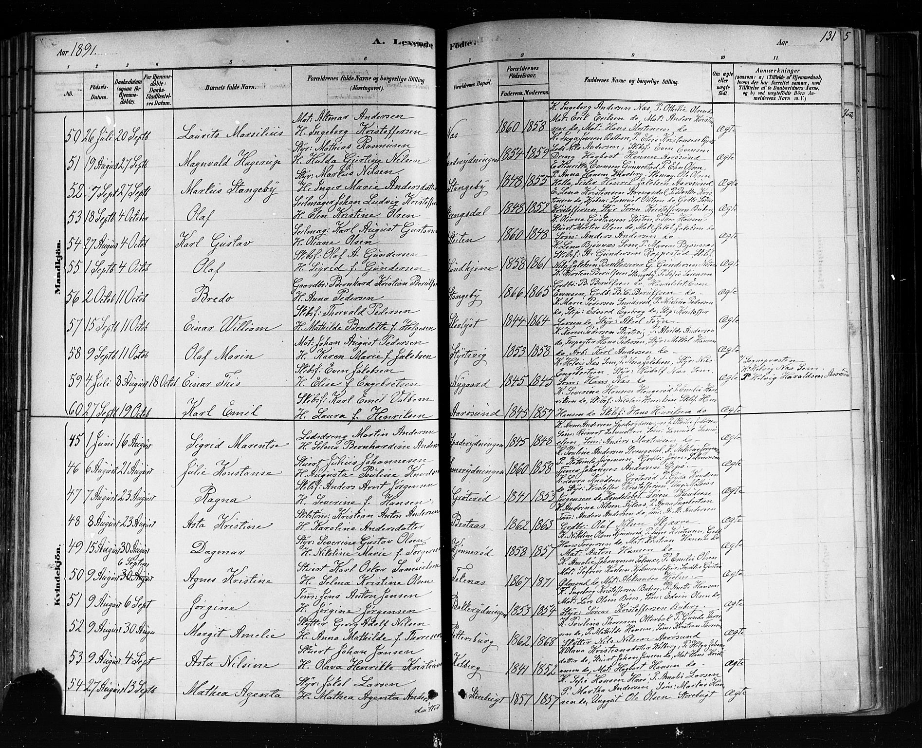 Nøtterøy kirkebøker, AV/SAKO-A-354/F/Fa/L0008: Parish register (official) no. I 8, 1878-1893, p. 131