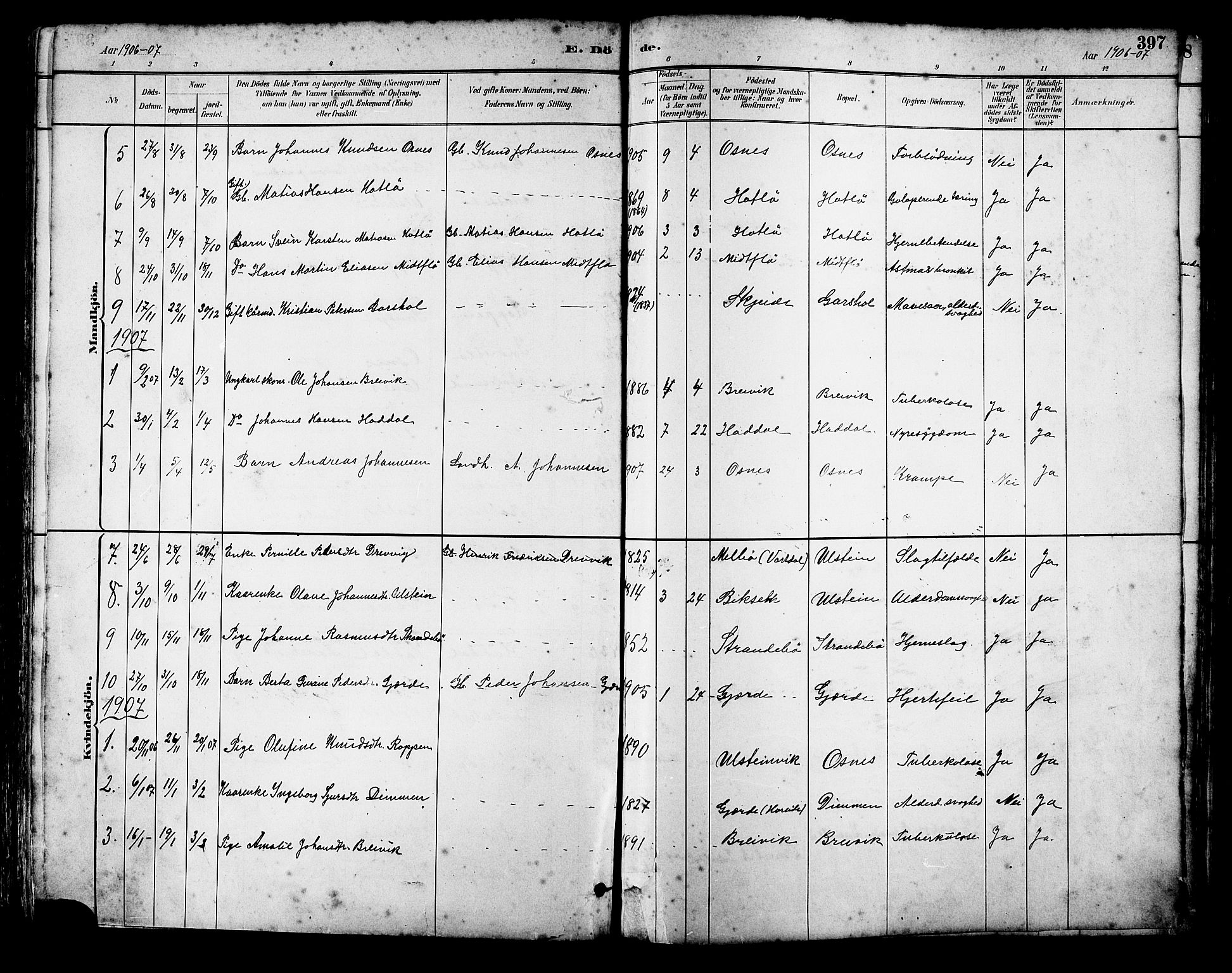 Ministerialprotokoller, klokkerbøker og fødselsregistre - Møre og Romsdal, AV/SAT-A-1454/509/L0112: Parish register (copy) no. 509C02, 1883-1922, p. 397