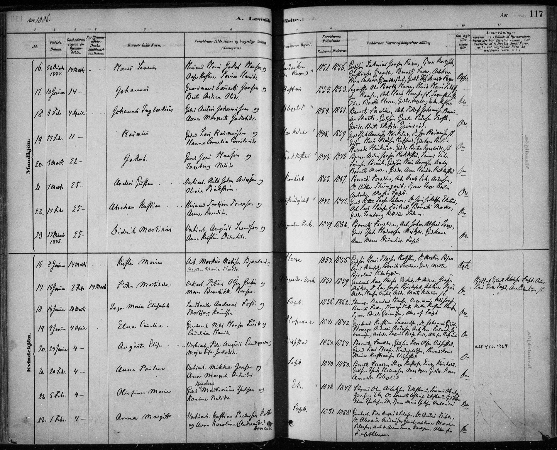 Bamble kirkebøker, AV/SAKO-A-253/F/Fa/L0007: Parish register (official) no. I 7, 1878-1888, p. 117