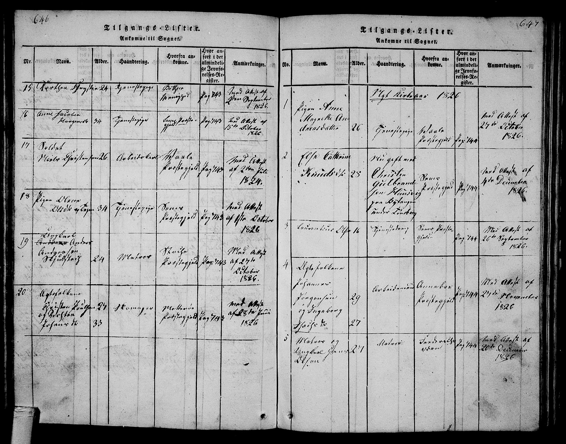 Tønsberg kirkebøker, AV/SAKO-A-330/G/Ga/L0001: Parish register (copy) no. 1, 1813-1826, p. 646-647