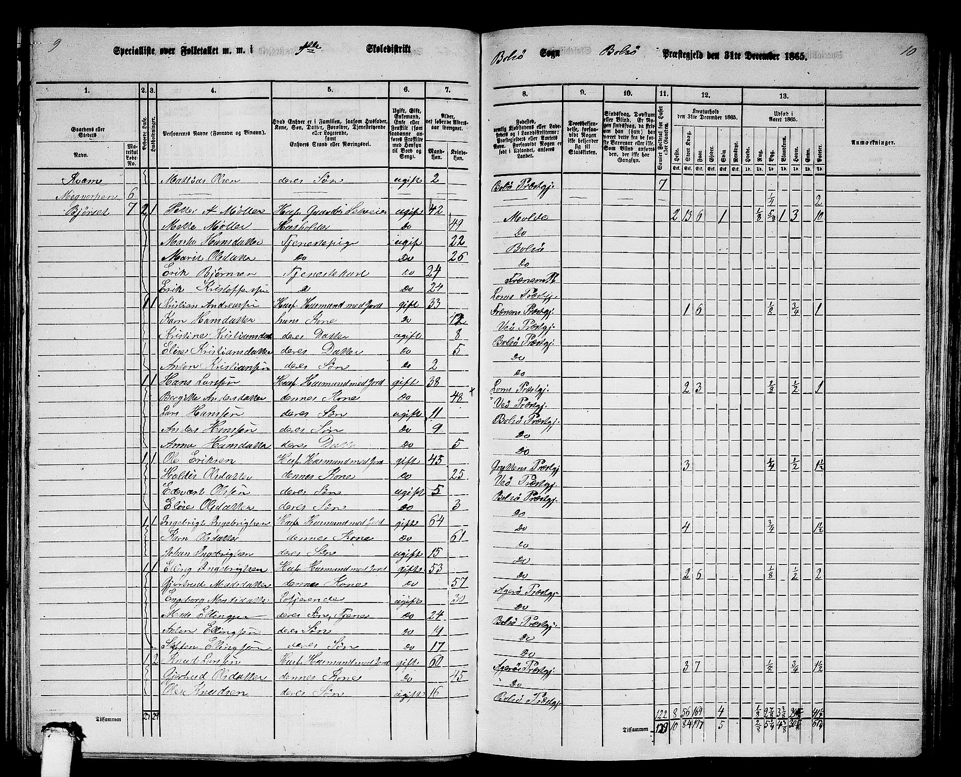 RA, 1865 census for Bolsøy, 1865, p. 12