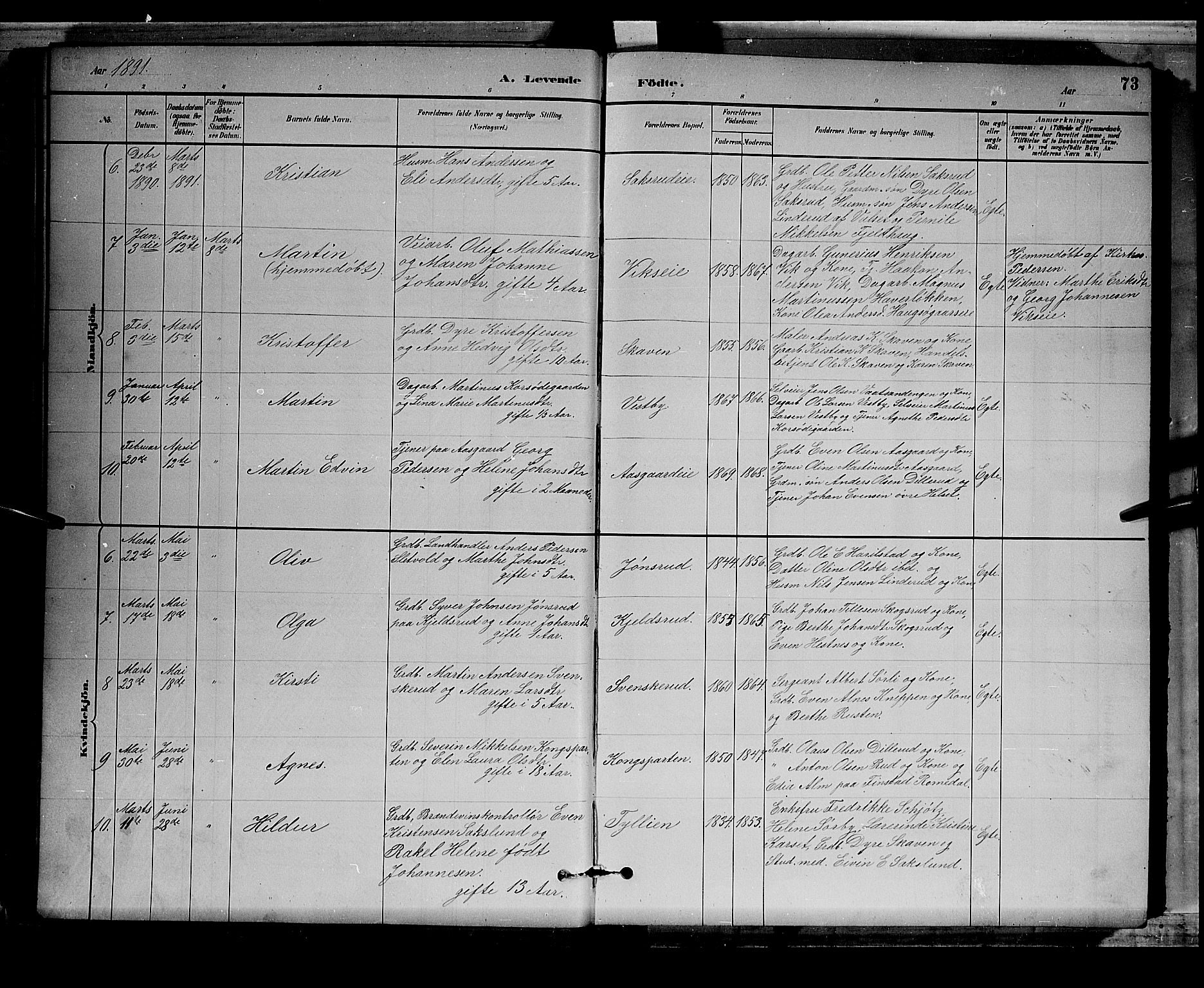 Stange prestekontor, AV/SAH-PREST-002/L/L0008: Parish register (copy) no. 8, 1882-1895, p. 73