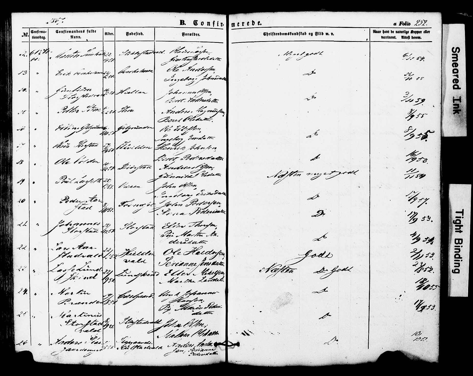 Ministerialprotokoller, klokkerbøker og fødselsregistre - Nord-Trøndelag, SAT/A-1458/724/L0268: Parish register (copy) no. 724C04, 1846-1878, p. 252