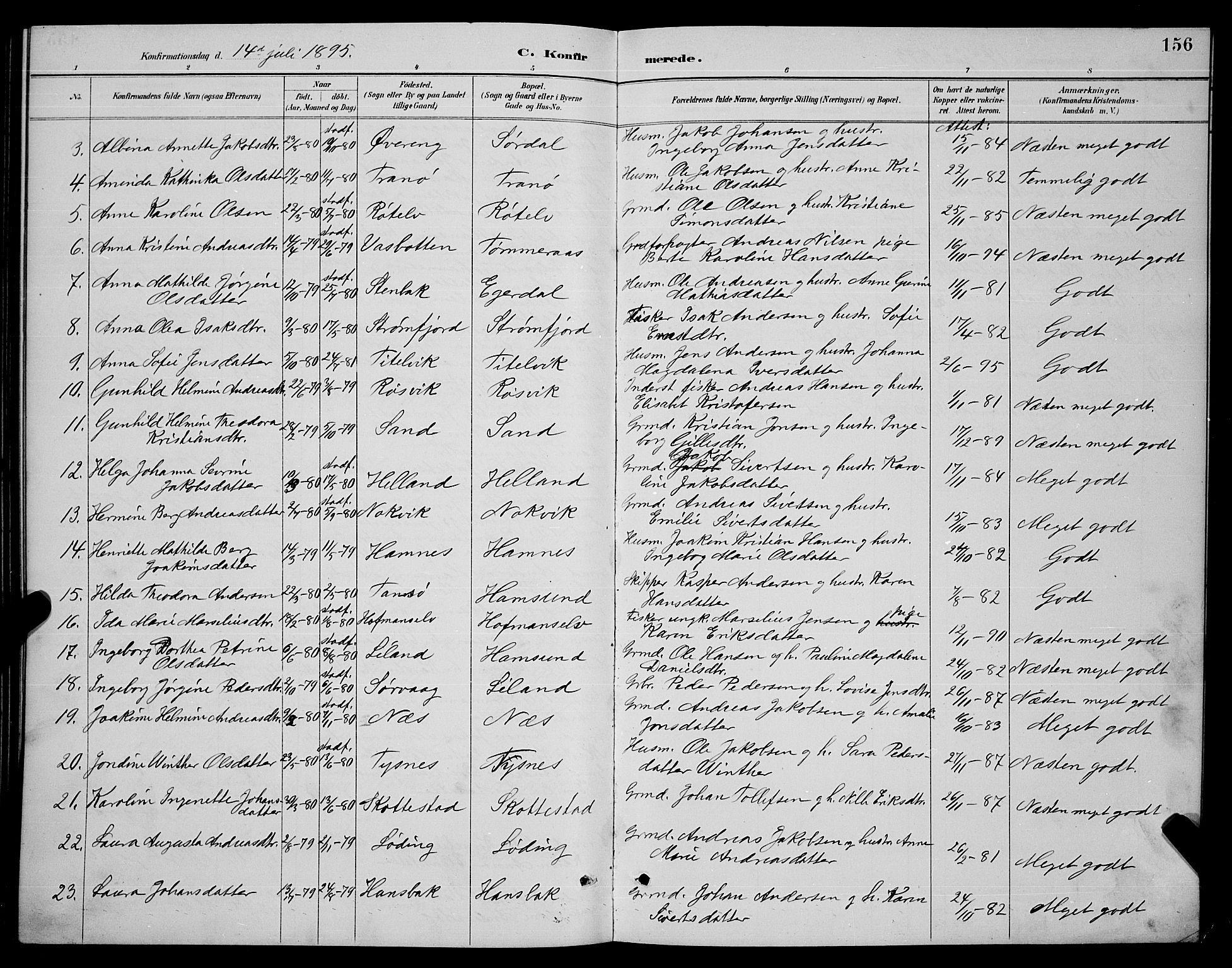 Ministerialprotokoller, klokkerbøker og fødselsregistre - Nordland, SAT/A-1459/859/L0859: Parish register (copy) no. 859C05, 1887-1898, p. 156