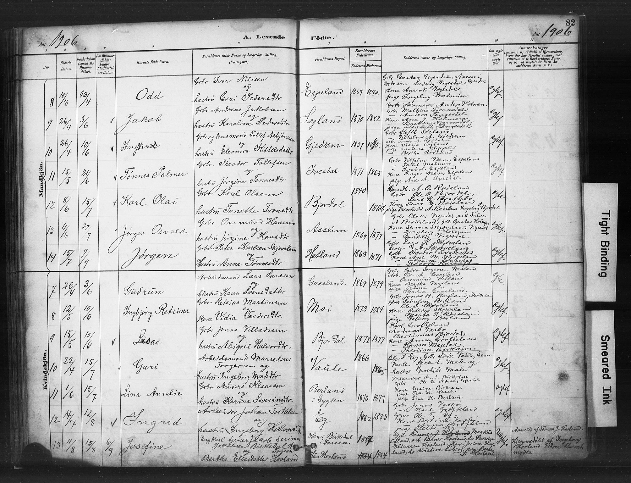 Helleland sokneprestkontor, AV/SAST-A-101810: Parish register (copy) no. B 5, 1887-1908, p. 82