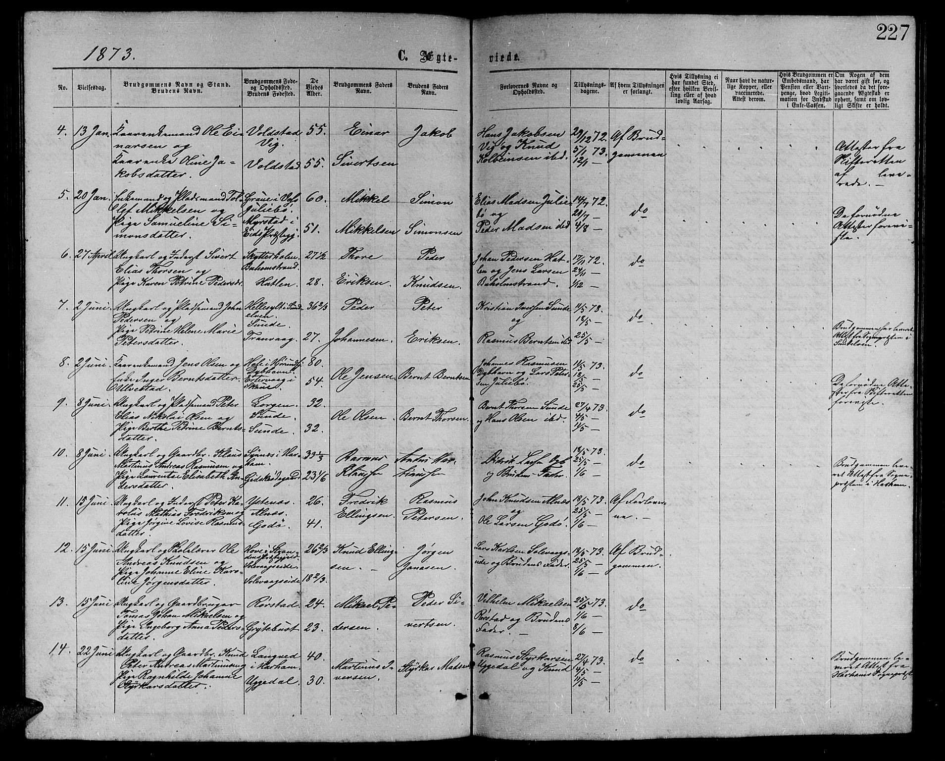 Ministerialprotokoller, klokkerbøker og fødselsregistre - Møre og Romsdal, AV/SAT-A-1454/528/L0428: Parish register (copy) no. 528C09, 1864-1880, p. 227