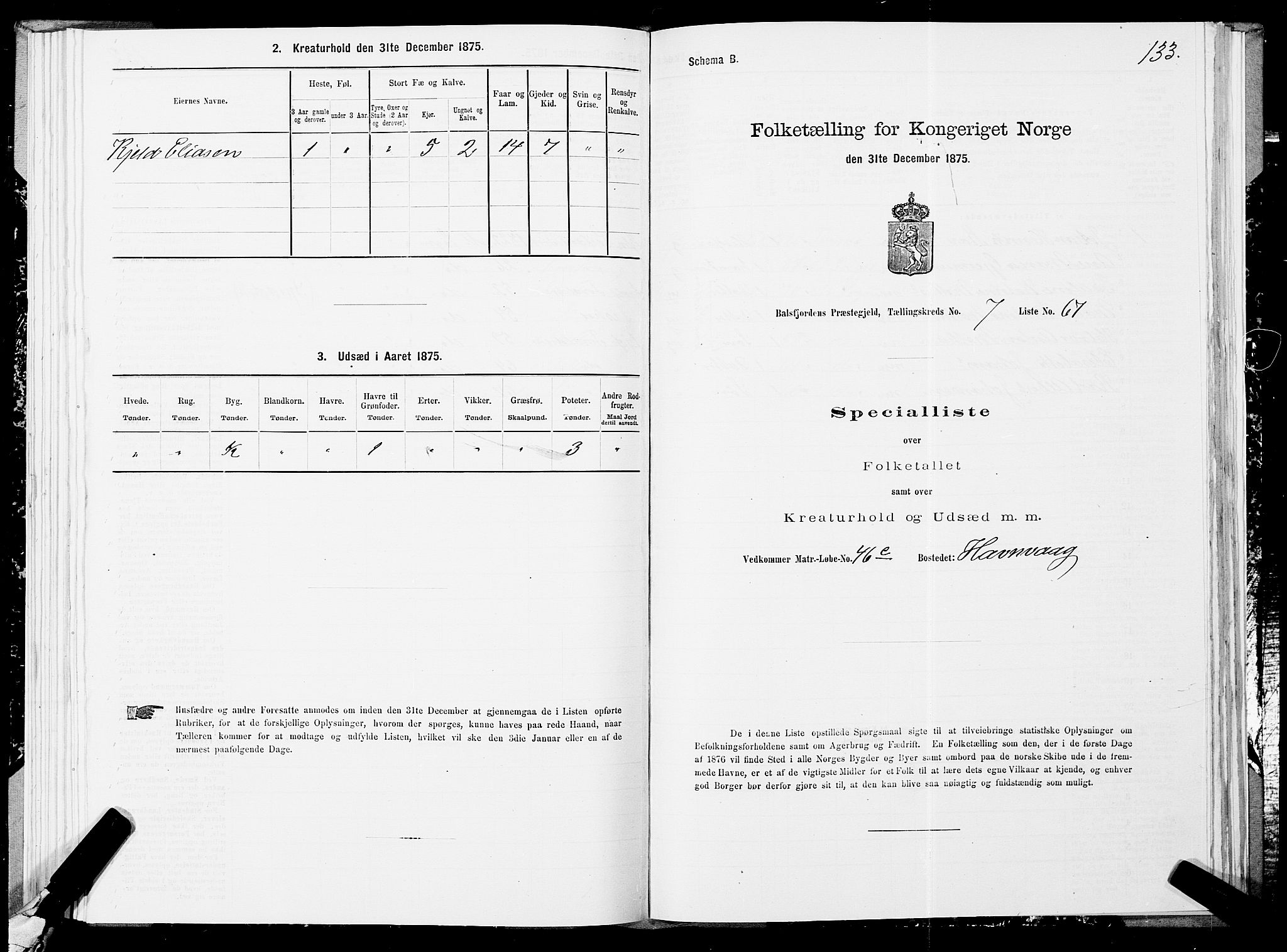 SATØ, 1875 census for 1933P Balsfjord, 1875, p. 4133