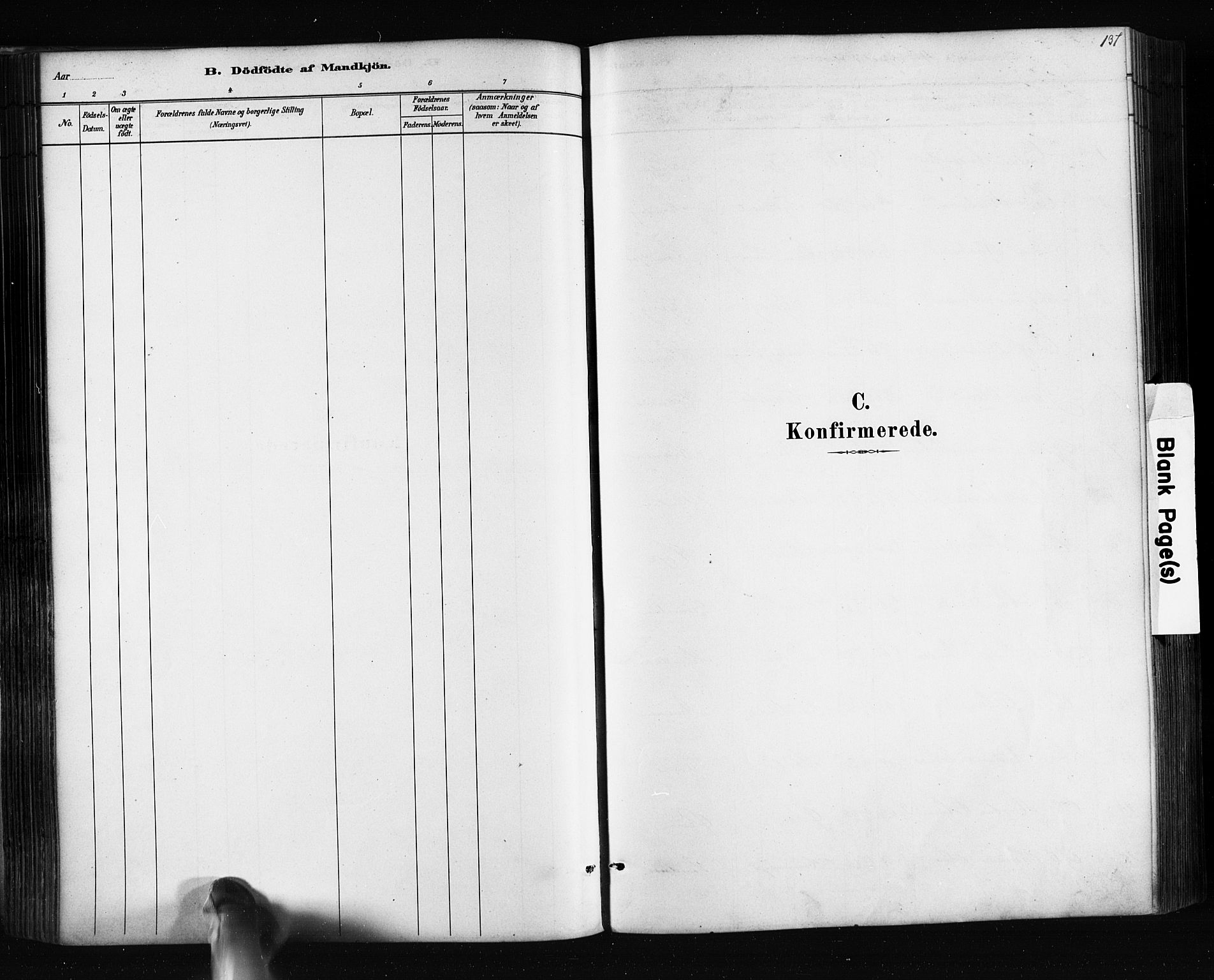 Søndeled sokneprestkontor, SAK/1111-0038/F/Fa/L0004: Parish register (official) no. A 4, 1880-1889, p. 137