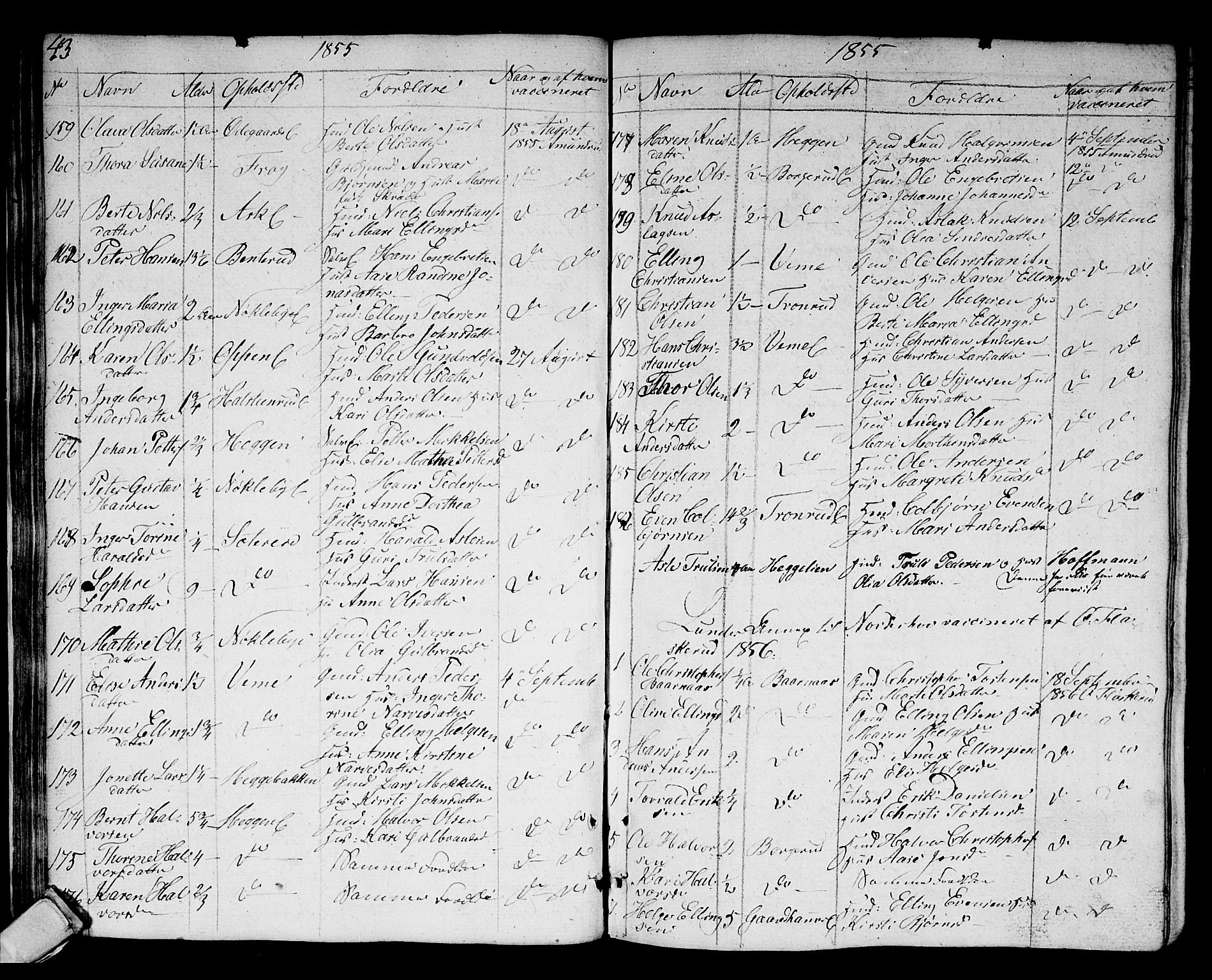 Norderhov kirkebøker, SAKO/A-237/F/Fa/L0007: Parish register (official) no. 7, 1812-1814, p. 43