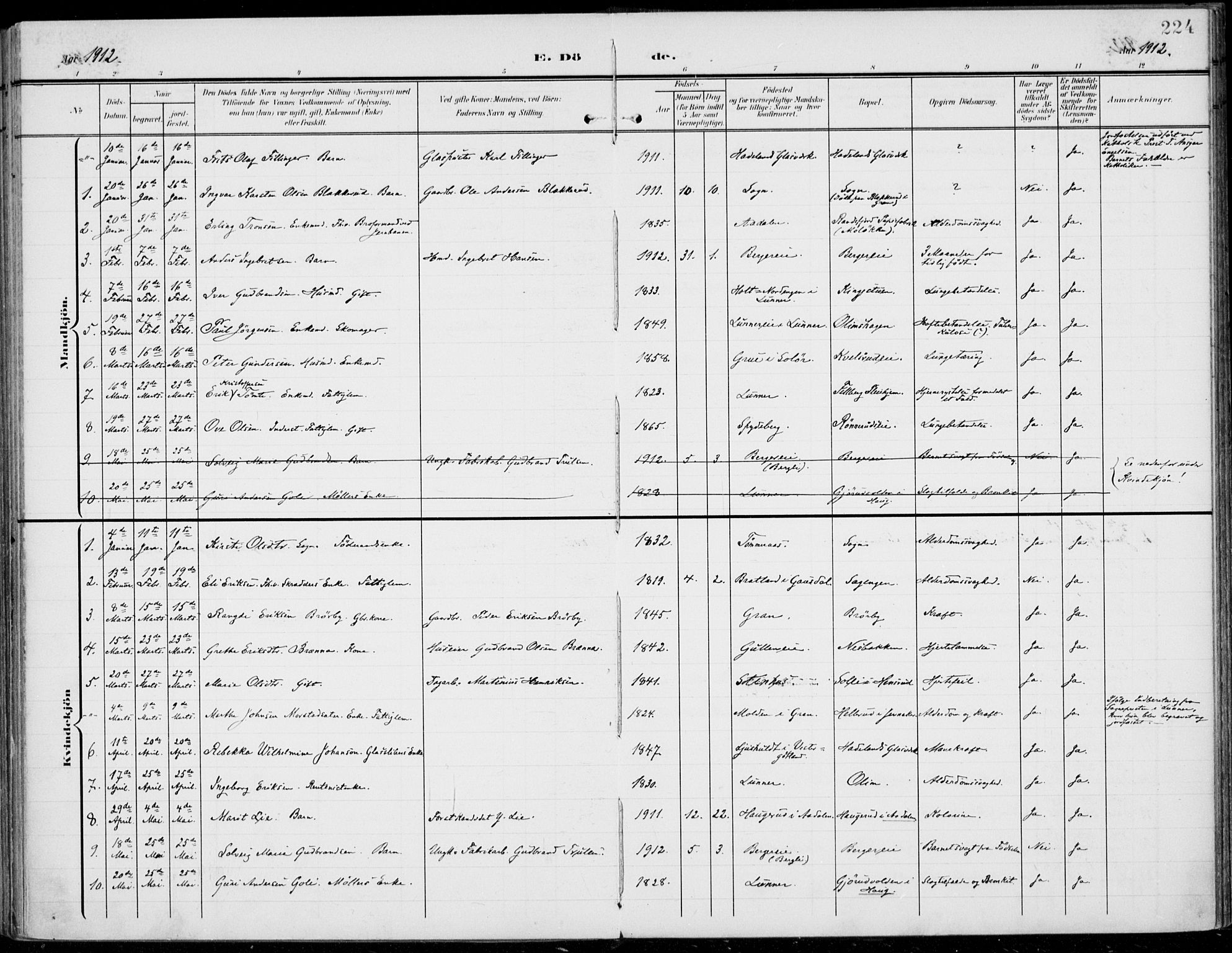 Jevnaker prestekontor, SAH/PREST-116/H/Ha/Haa/L0011: Parish register (official) no. 11, 1902-1913, p. 224