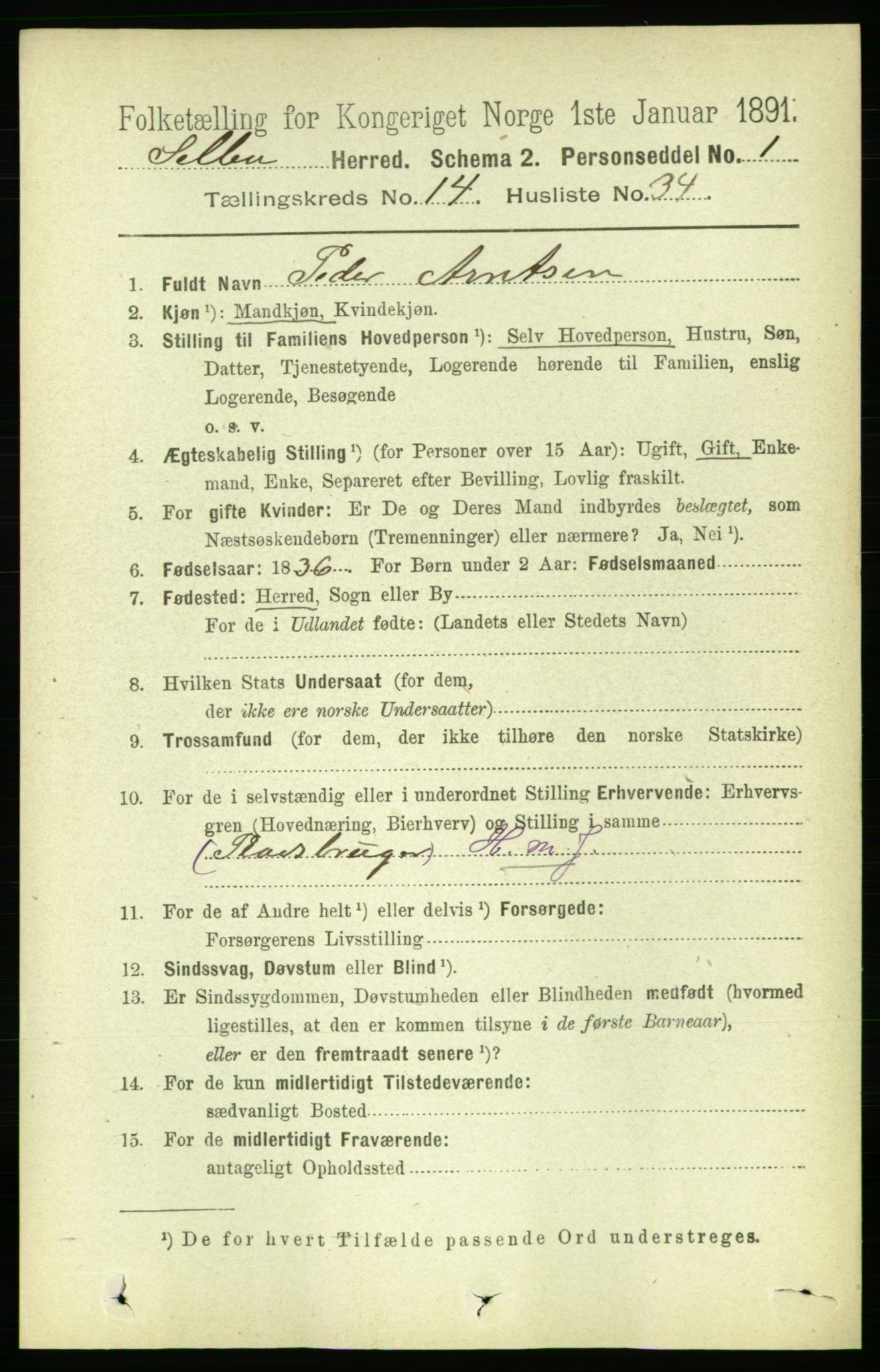 RA, 1891 census for 1664 Selbu, 1891, p. 5301