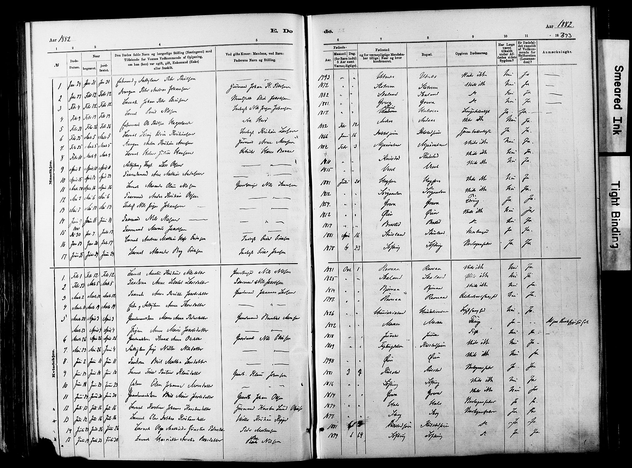 Ministerialprotokoller, klokkerbøker og fødselsregistre - Nordland, SAT/A-1459/820/L0295: Parish register (official) no. 820A16, 1880-1896, p. 373