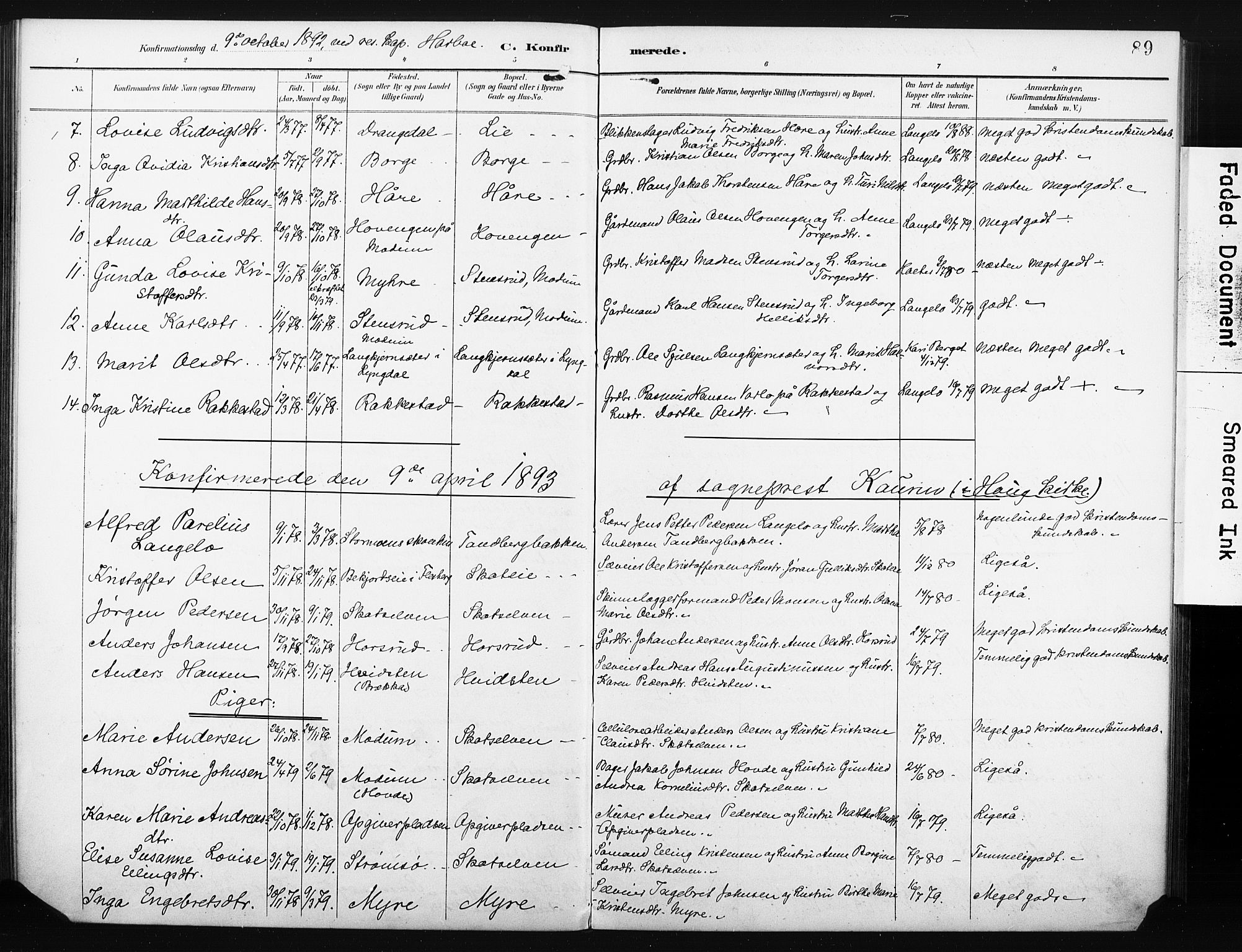 Eiker kirkebøker, SAKO/A-4/F/Fc/L0002: Parish register (official) no. III 2, 1889-1897, p. 89