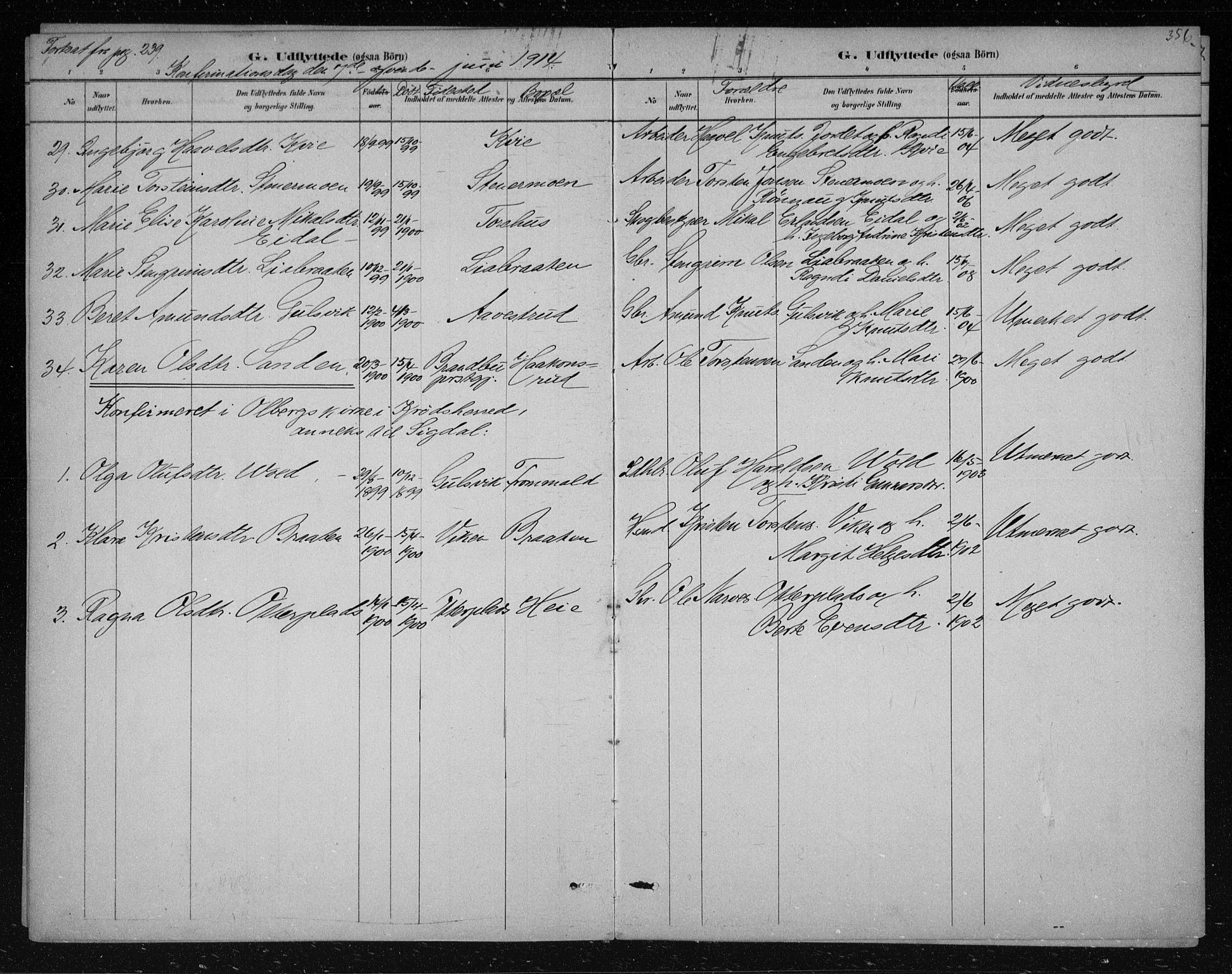 Nes kirkebøker, AV/SAKO-A-236/F/Fa/L0012: Parish register (official) no. 12, 1881-1917, p. 356